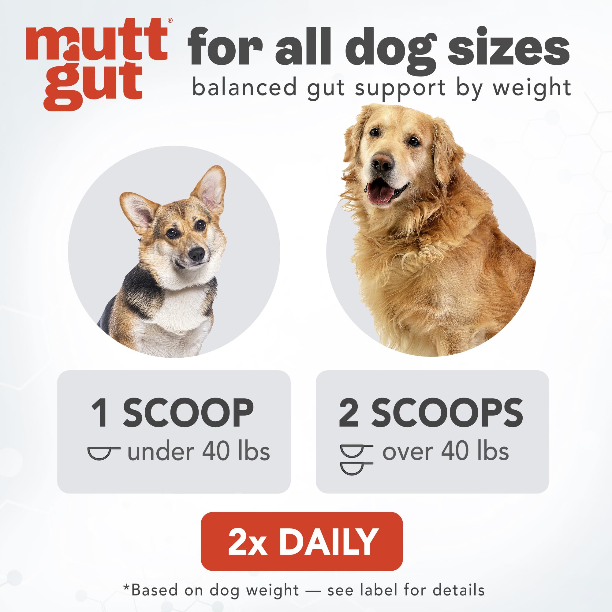 All-Natural 3-in-1 Dog Probiotic, Prebiotic, and Postbiotic Supplement Powder - Probiotics for Dogs with 135 Billion CFUs, Anti Diarrhea, Digestive Enzymes & Antioxidants (60g) MUTTGUT Au supplements