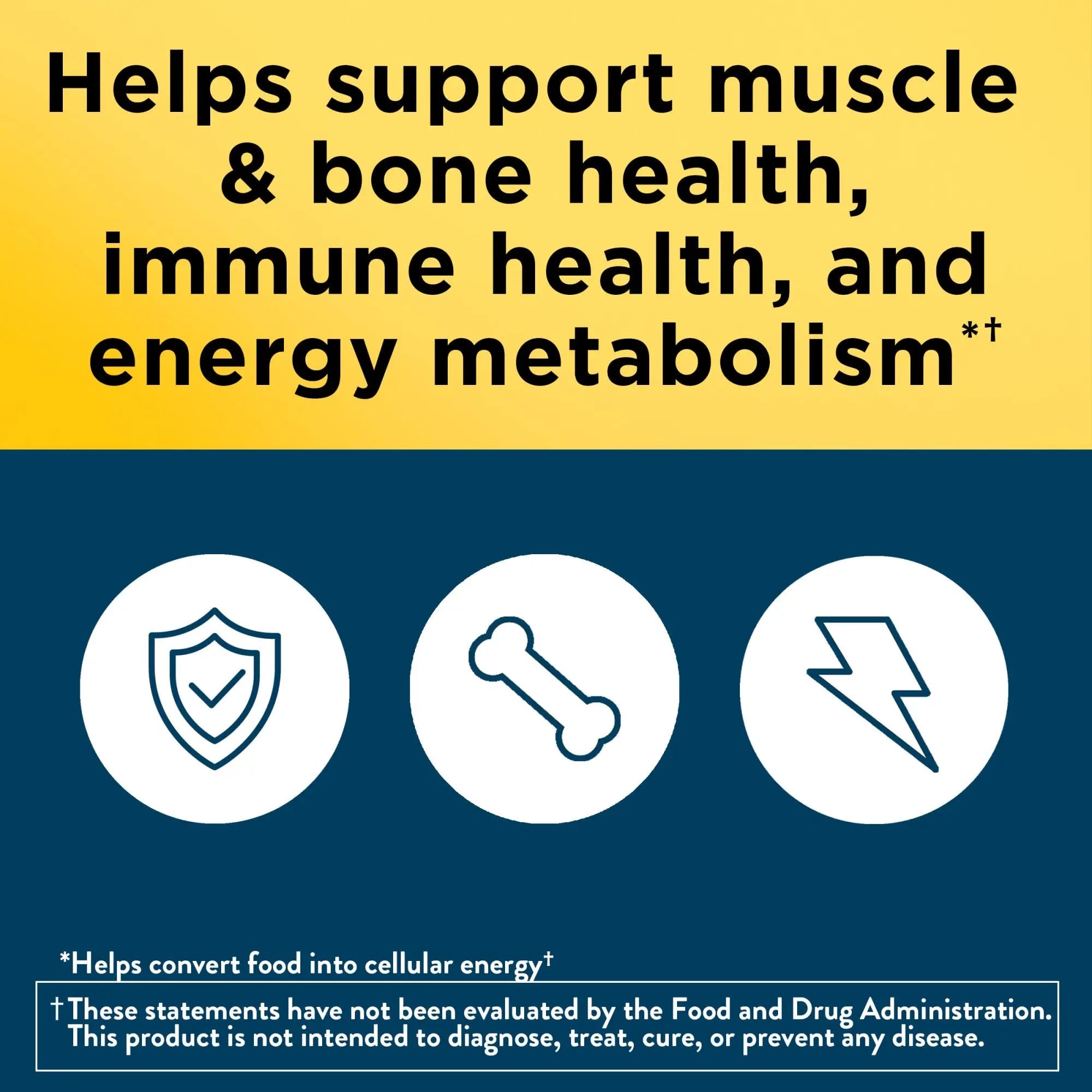 Nature Made Multivitamin for Men Over 50, Mens Multivitamins 50 Plus, Daily Nutritional Support, Nature Made Multi Vitamins Nature Made Au supplements