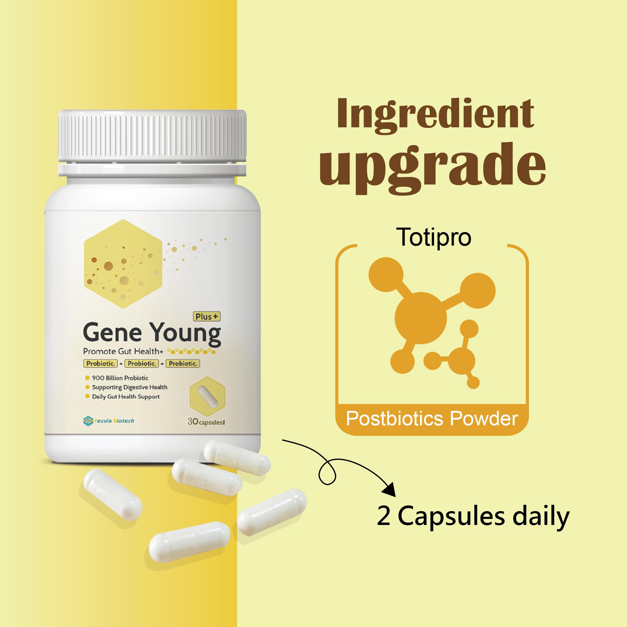 Fecula Biotech Synbiotic for Gut Health | 3-in-1 Daily Prebiotic, Probiotic, Postbiotic for Digestive Health, Bloat & Immune Support