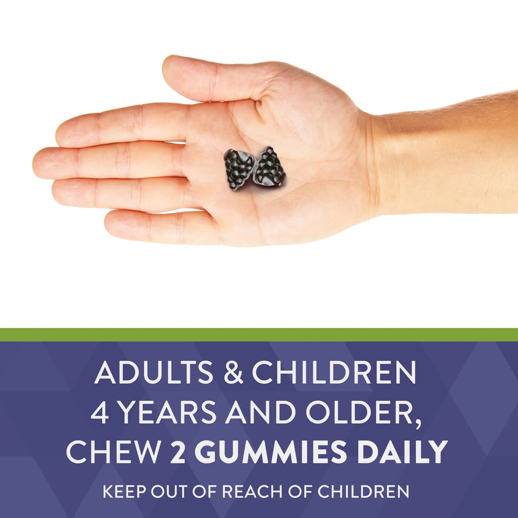 Nature's Way Sambucus Elderberry Gummies - Immune Support Supplement for Kids Nature's Way Au supplements