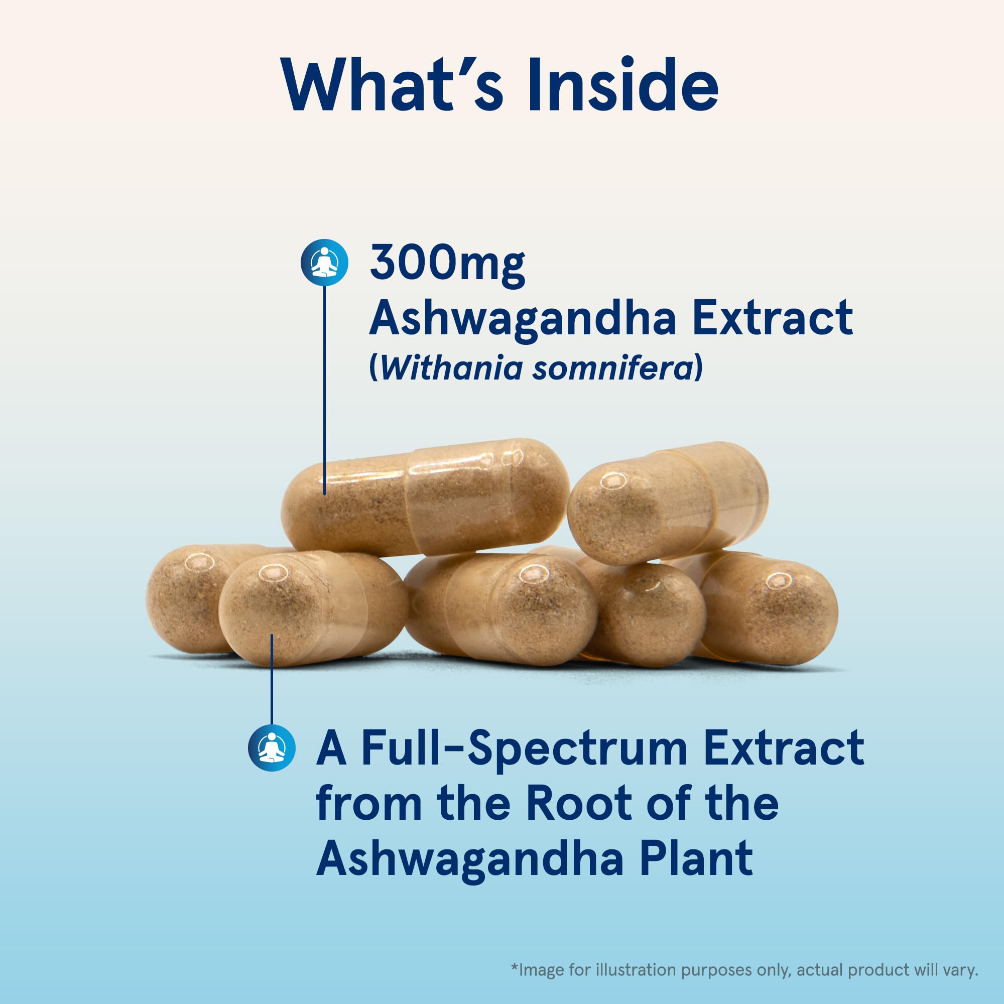 Jarrow Formulas Ashwagandha Capsules, 300 mg Supplement Supports Normalized Resistance to Mental and Physical Stress, 120 Veggie Capsules, 60 Day Supply Jarrow Formulas Au supplements
