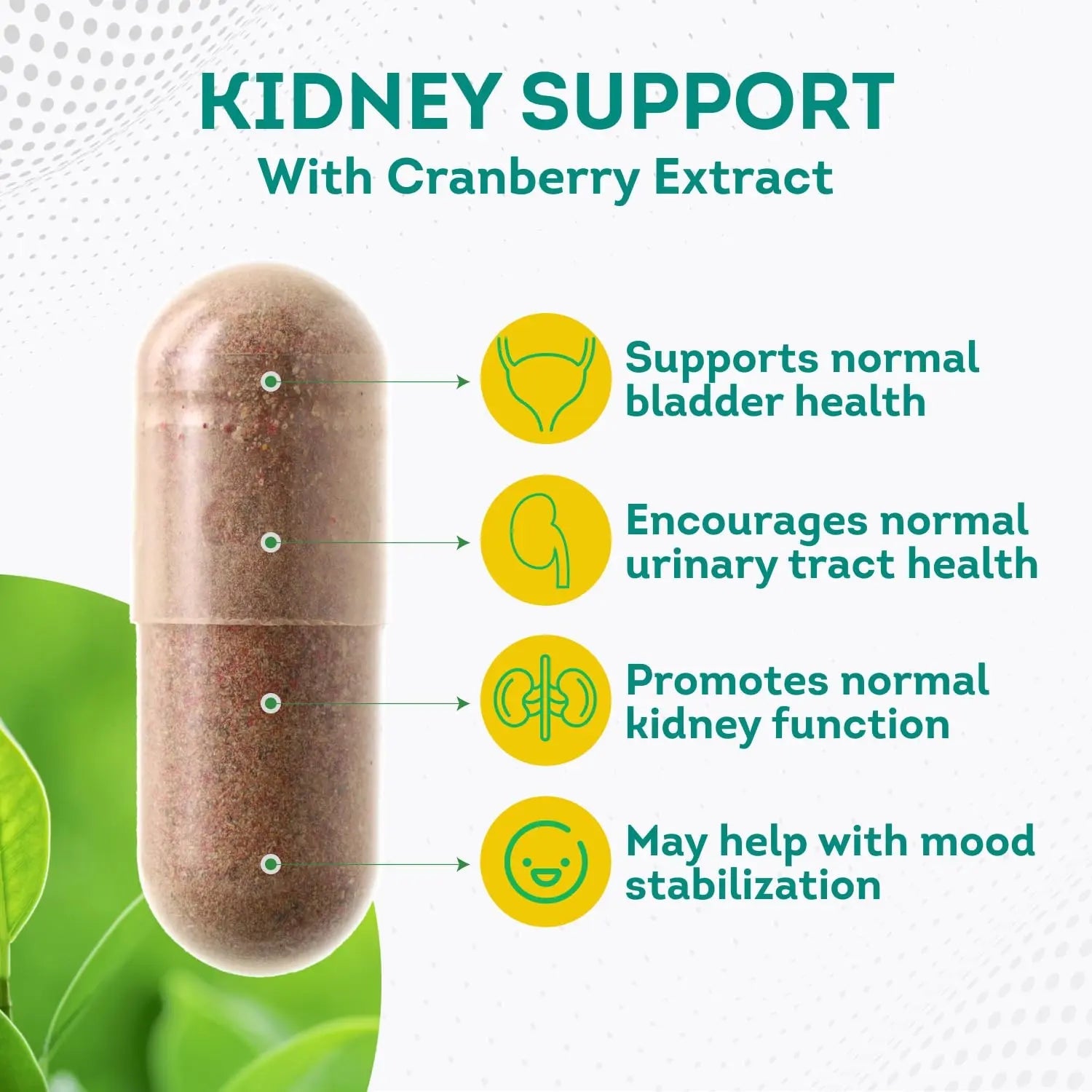PurePremium Kidney Support Supplement with Cranberry Extract - Kidney Cleanse, Detox PurePremium Supplements Au supplements
