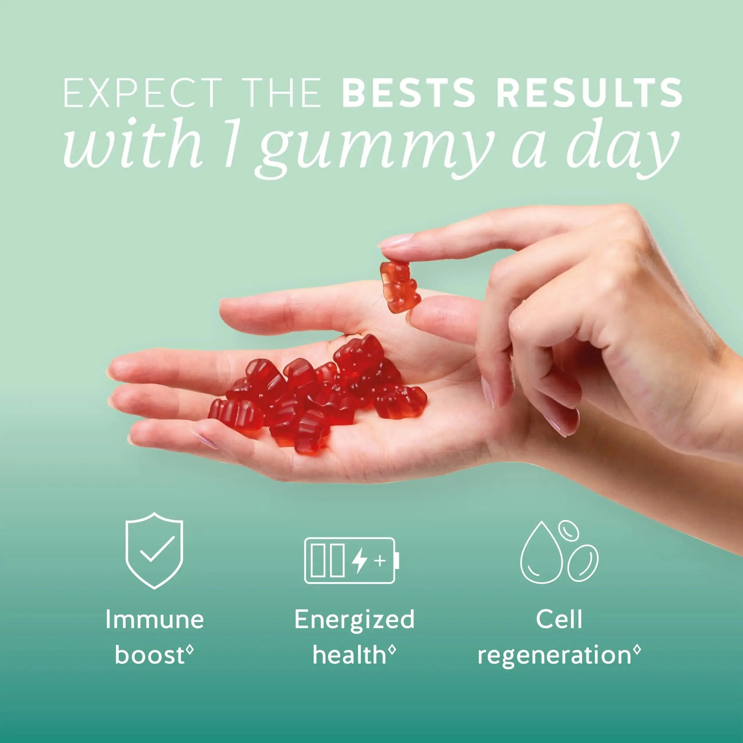 Bears with Benefits Immune Support Gummies – Vitamin C, D, B6 & B12 – Daily Immune Boost – Vegan, Naturally Flavored (60 Gummies) Bears with Benefits Au supplements