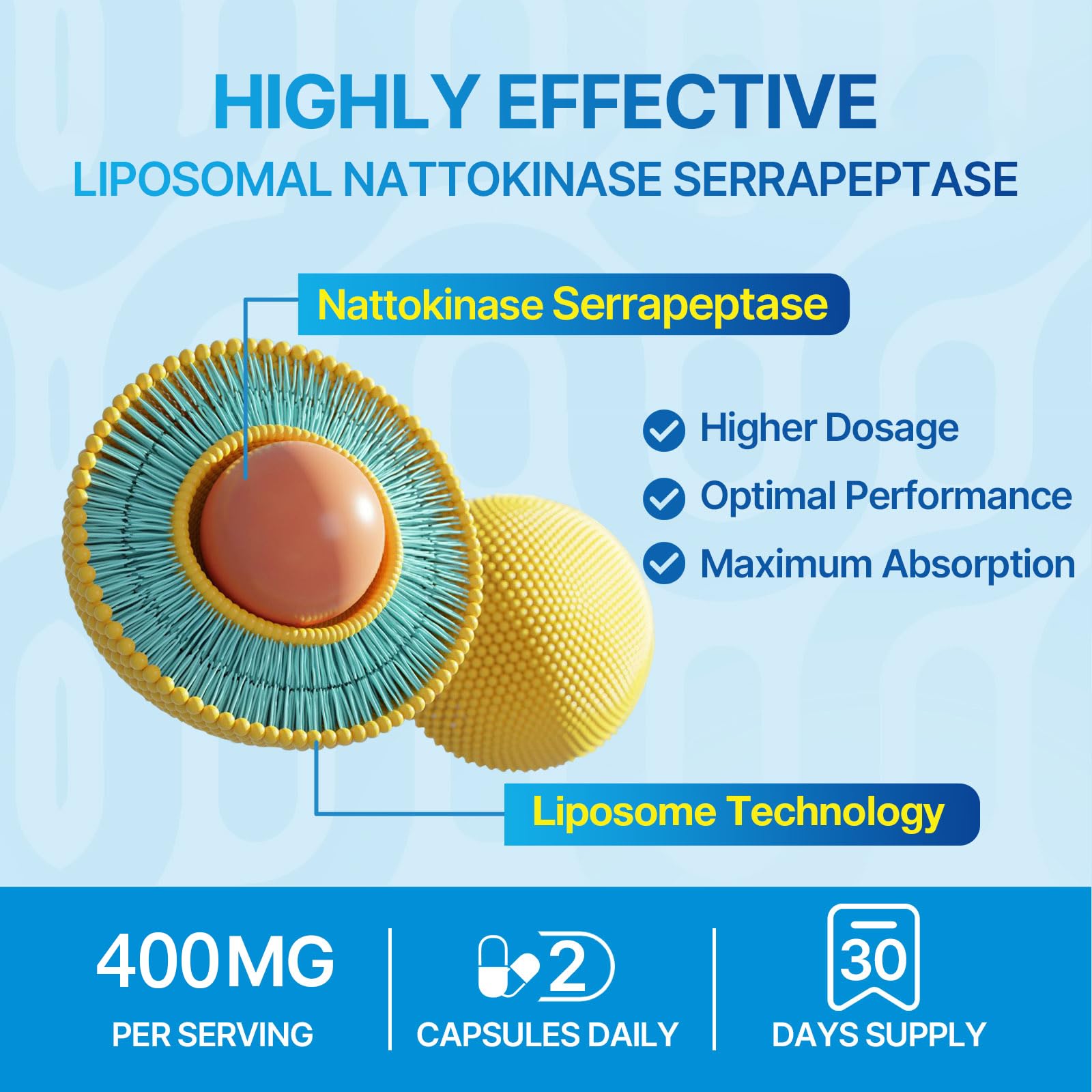 Liposomal Nattokinase 12,000 FU Serrapeptase 360,000 SPU Enzyme Supplement - Enriched with Synergistic Enzymes and Nutrient Blend & Inulin for Circulatory