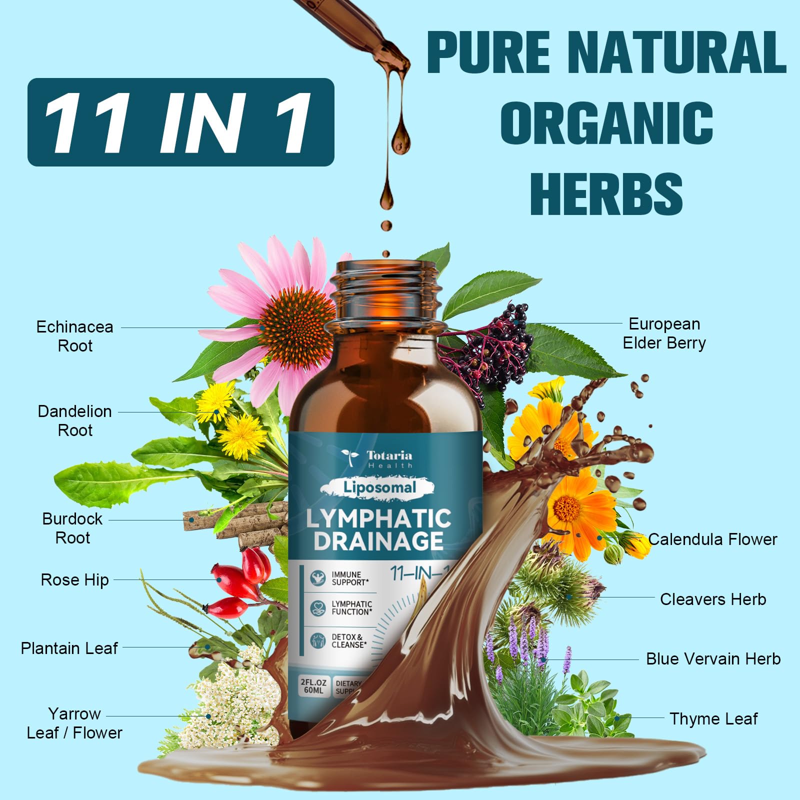 Liposomal Lymphatic Drainage Drops - 11 In 1 Organic Lymphatic Drainage Supplement with Burdock Root, Echinacea, Elderberry, Calendula, Cleavers Herb