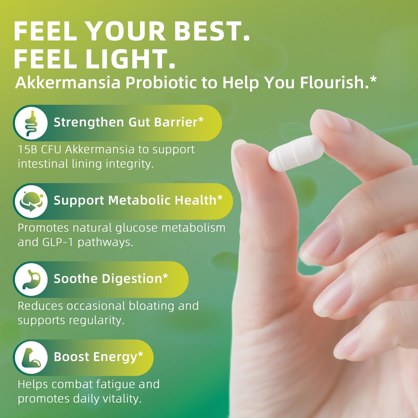 GREENPEOPLE Akkermansia Probiotics 15B CFU for Gut Function, 60CT Probiotics Supplement with Ceylon Cinnamon, Turmeric | Digestive Health & Metabolic Support