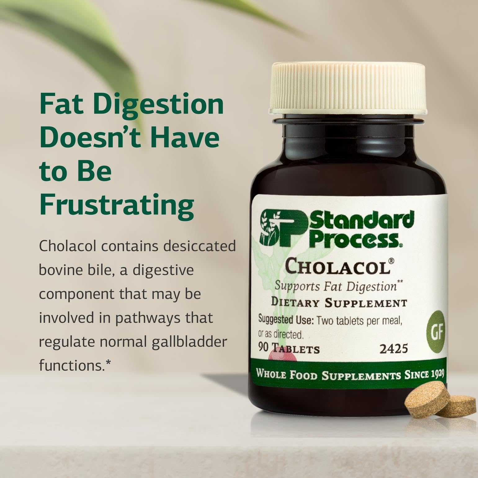 Standard Process Inc. Cholacol - Gallbladder Support Supplement - Fat Digestion Supplement for Digestive Health & Bile Support