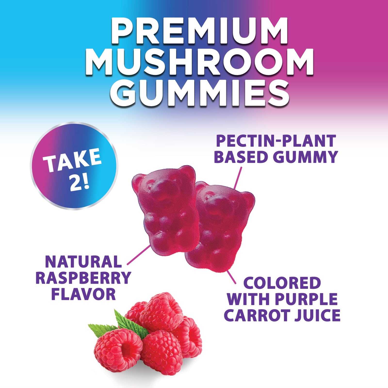 Mushroom Gummies Supplement 12 in 1 - High Grade Blend for Adults with Lions Mane, Reishi, Cordyceps, & Chaga Mushroom Complex Gummy, Memory & Immune Support & Nootropic Brain Supplements - 60 Gummies Nature's Nutrition Au supplements