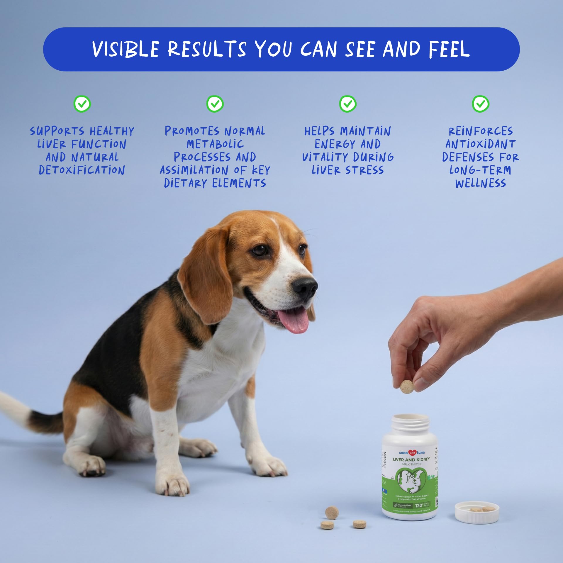 Milk Thistle for Dogs - 120 Chewable Tablets - Silymarin - Liver and Kidney Support with EPA & DHA - Detox - Liver Supplement for Dogs