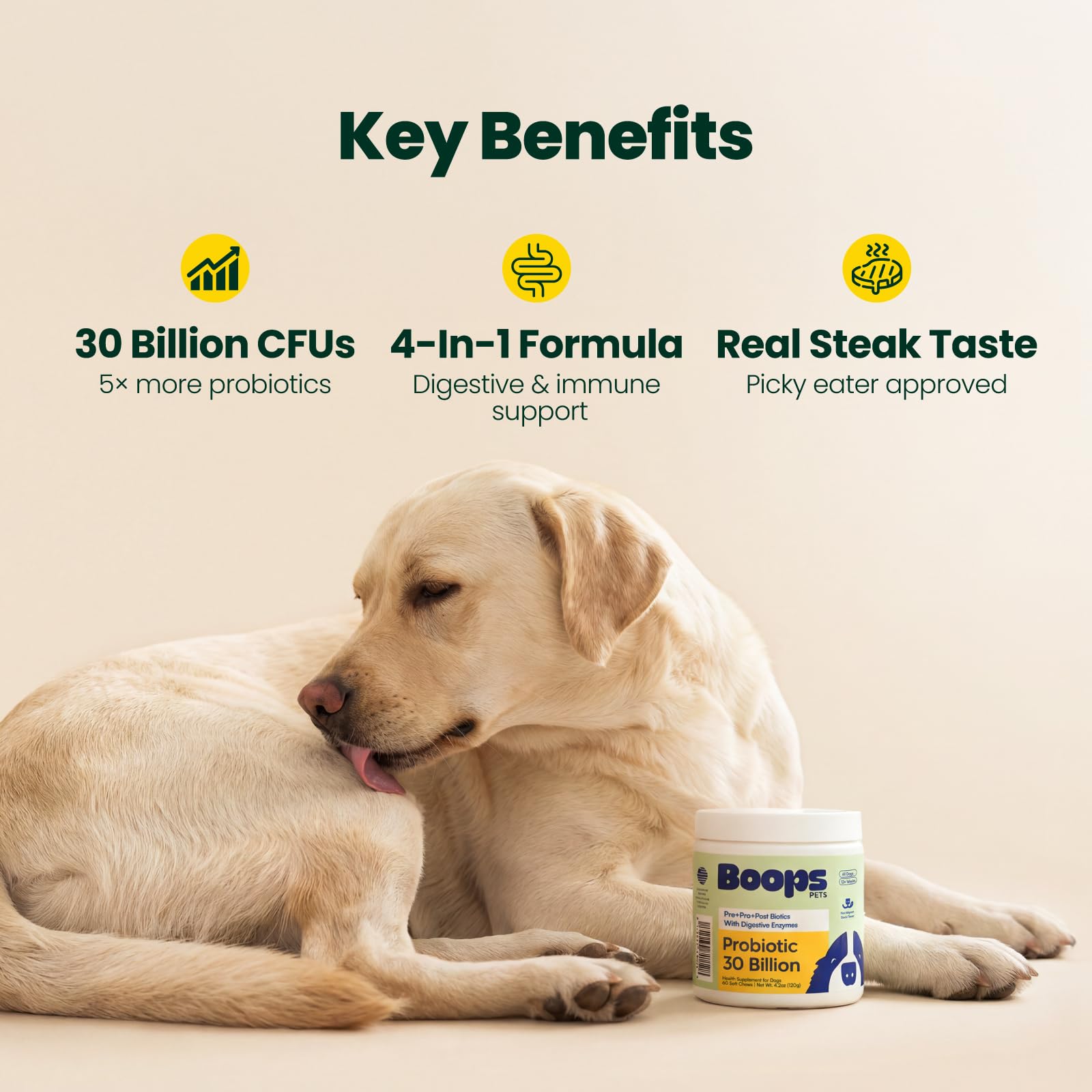 Boops Pets Probiotics for Dogs – 30 Billion CFU with Pre, Postbiotics & Digestive Enzymes – Supports Gut Health, Immunity, Loose Stools & Allergies – Filet Mignon Flavor – Vet Formulated – 60 Chews Boops Pets Au supplements