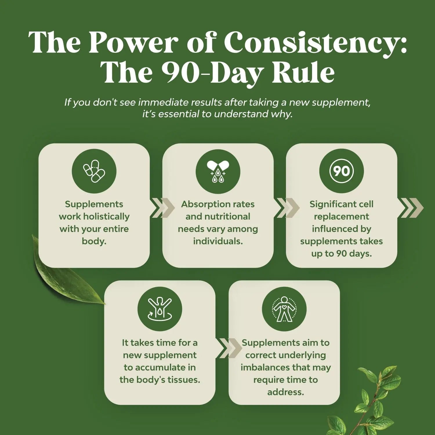 Pure Green Coffee Bean Extract - Super Energizing Green Coffee Extract with 50% Chlorogenic Natures Craft Au supplements