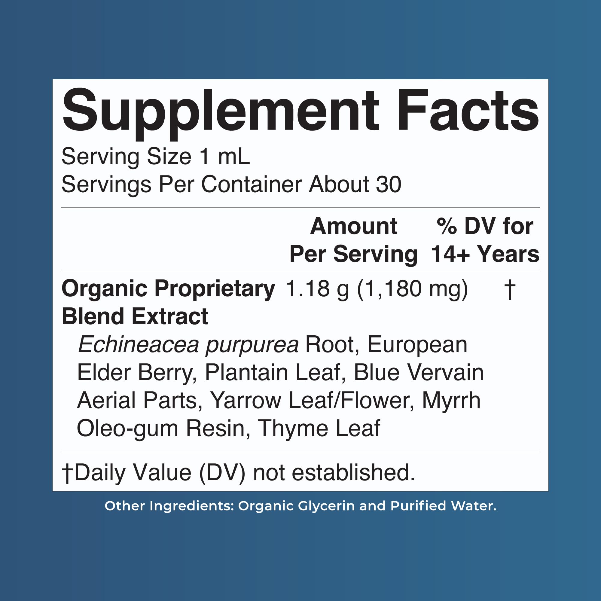 MARYRUTH'S Lymphatic Support Liquid Drops USDA Organic | Herbal Blend with Echinacea & Elderberry | Blue Vervain