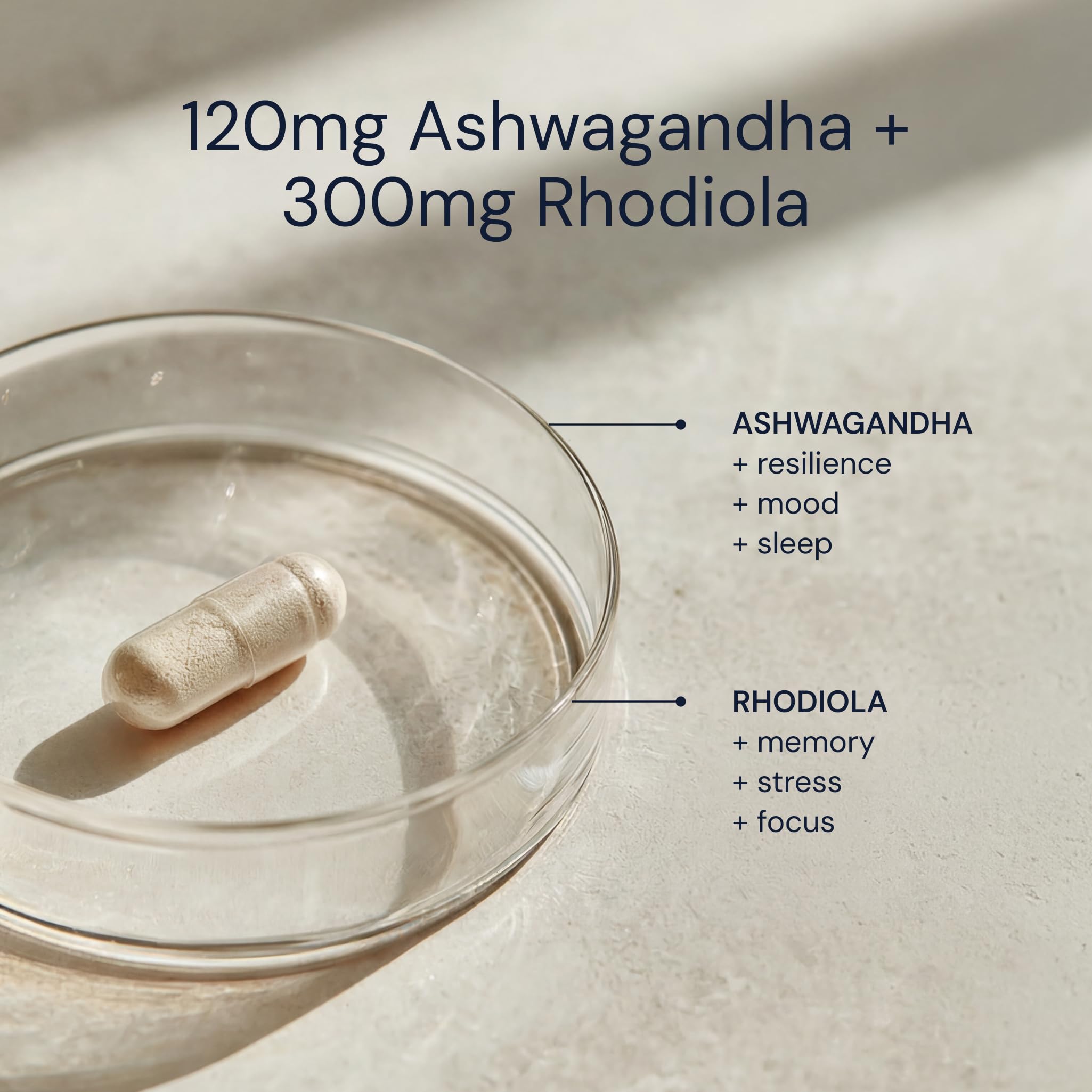 Blueprint Bryan Johnson Ashwagandha & Rhodiola Supplement – 120mg Ashwagandha + Rhodiola Root – Daily Adaptogen Capsules for Stress Support, Mood Balance, Energy & Focus – 30 Vegan Capsules Blueprint Bryan Johnson Au supplements