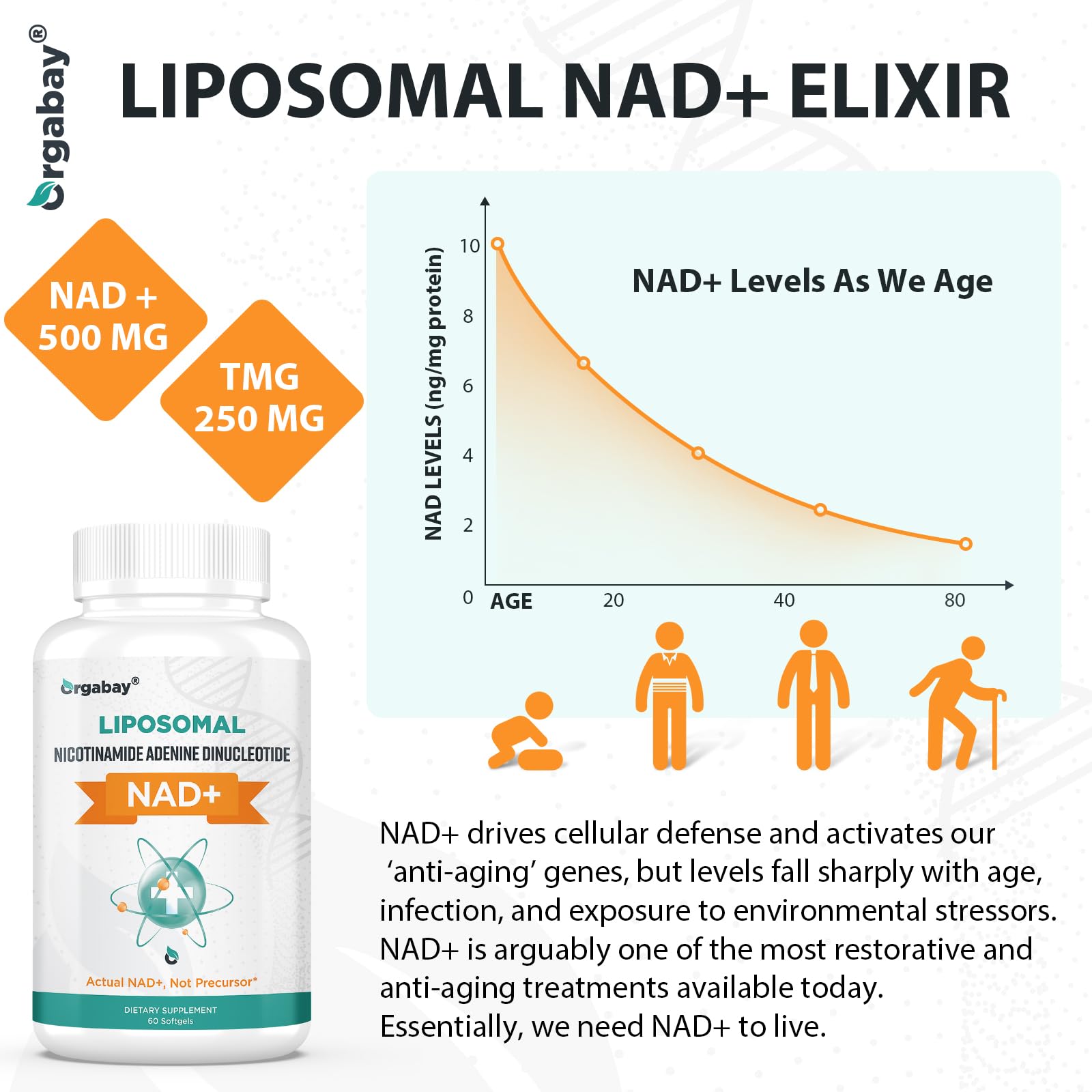 Orgabay Liposomal NAD+ Supplement 500 mg, High Absorption, Boost NAD+ with TMG 250 mg, Actual NAD Plus More Efficient Than Nicotinamide Riboside, Support Cellular Energy, Healthy Aging | 60 Softgels Orgabay Au supplements