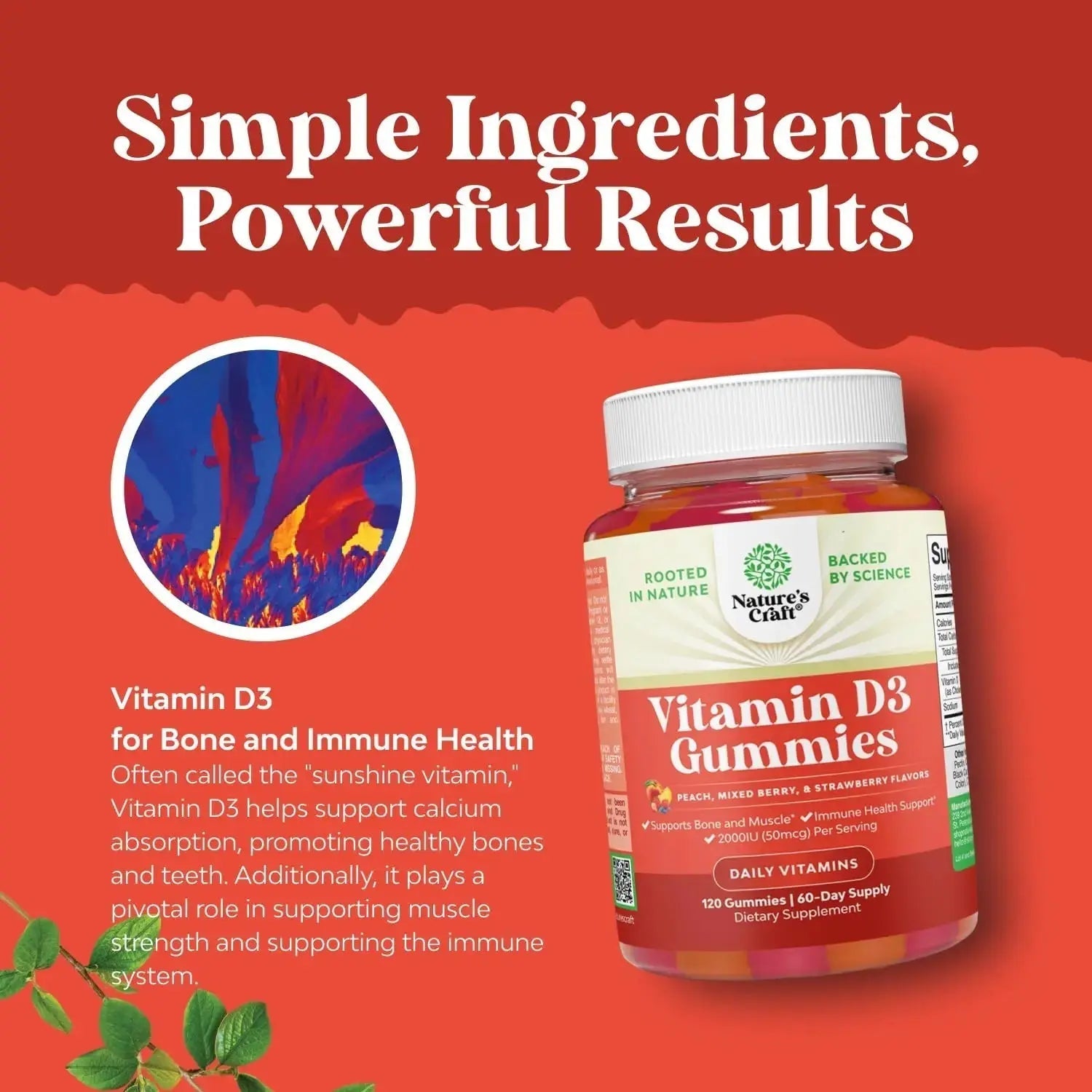 Bundle of Potent Daily Multivitamin Gummies - Wellness Blend of Vitamin D A C E B12 Zinc & Biotin for Energy & Immunity and Vitamin D3 Gummies Natures Craft Au supplements
