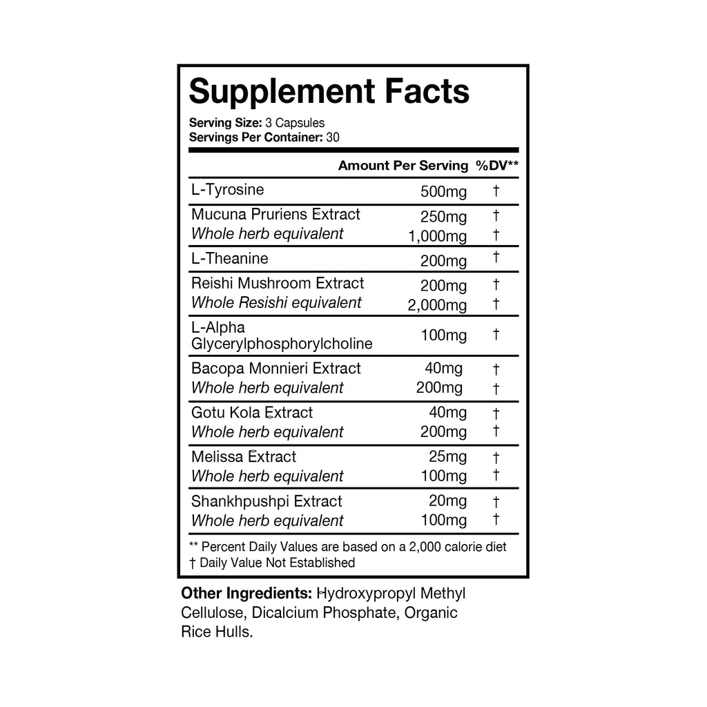 Terra Health Essentials NOOFOCUS - Nootropics Brain Support Supplement with Adaptogenic Mushrooms, Alpha-GPC, Gotu Kola, L-Theanine for Focus & Memory - All Natural, 30 Day Supply Terra Health Essentials Au supplements