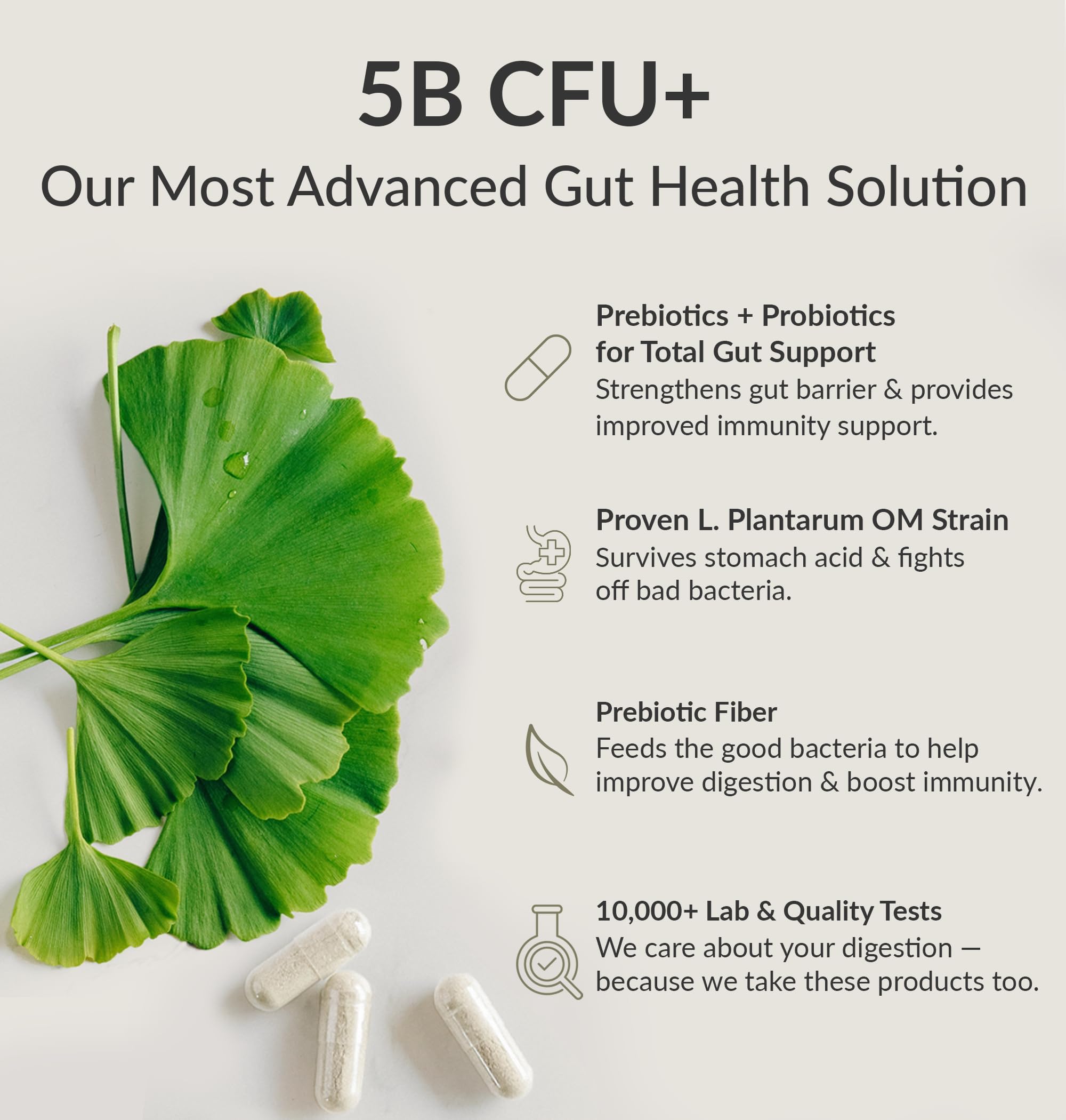 BIOptimizers Probiotic Breakthrough – Lactobacillus Plantarum OM Probiotics & Prebiotics Health Supplement for Gut, Digestive & Immune Support Probiotics for Women Men Elderly– 30 Vegan Capsules BIOptimizers Au supplements