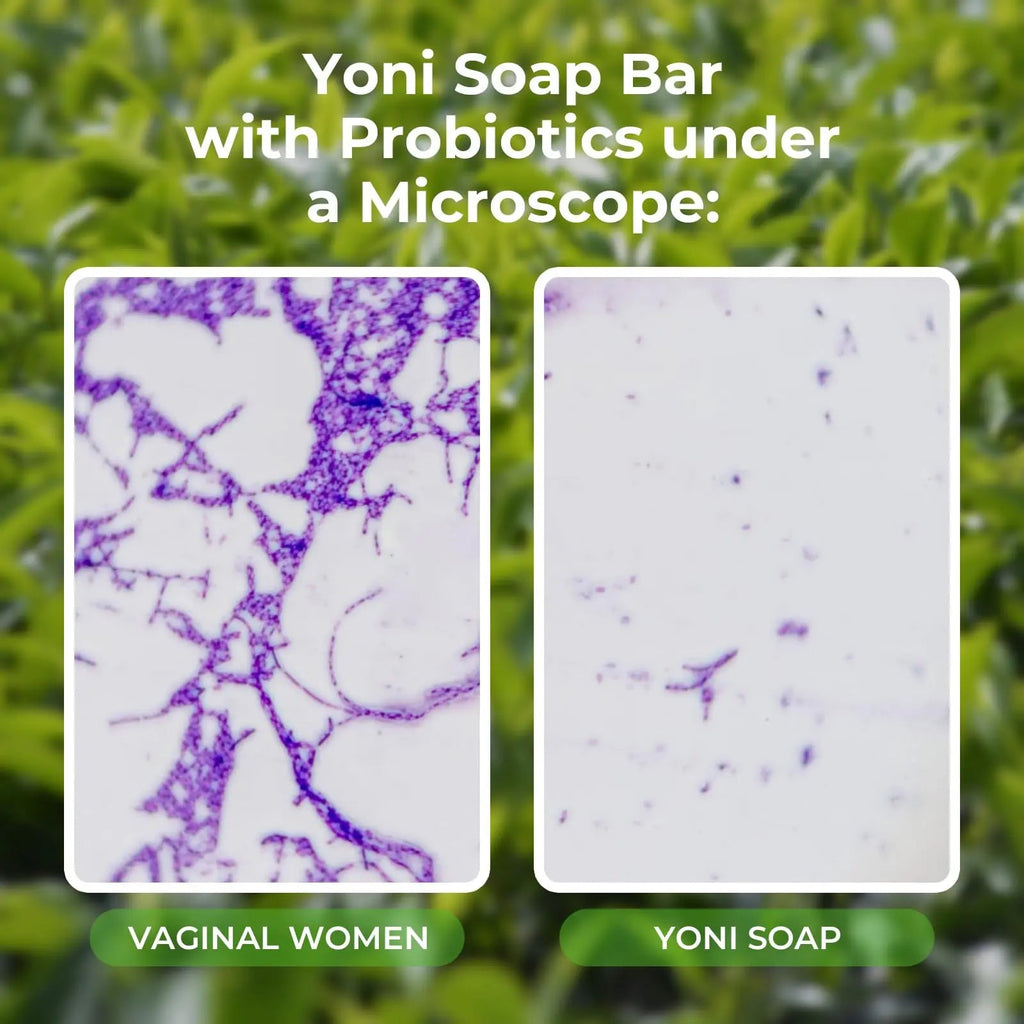 Feminine Wash & Yoni Oil & Yoni Soap Tea Tree Set for Women, Yoni Wash for Vaginal Ph Balance Remove BASSI Au supplements