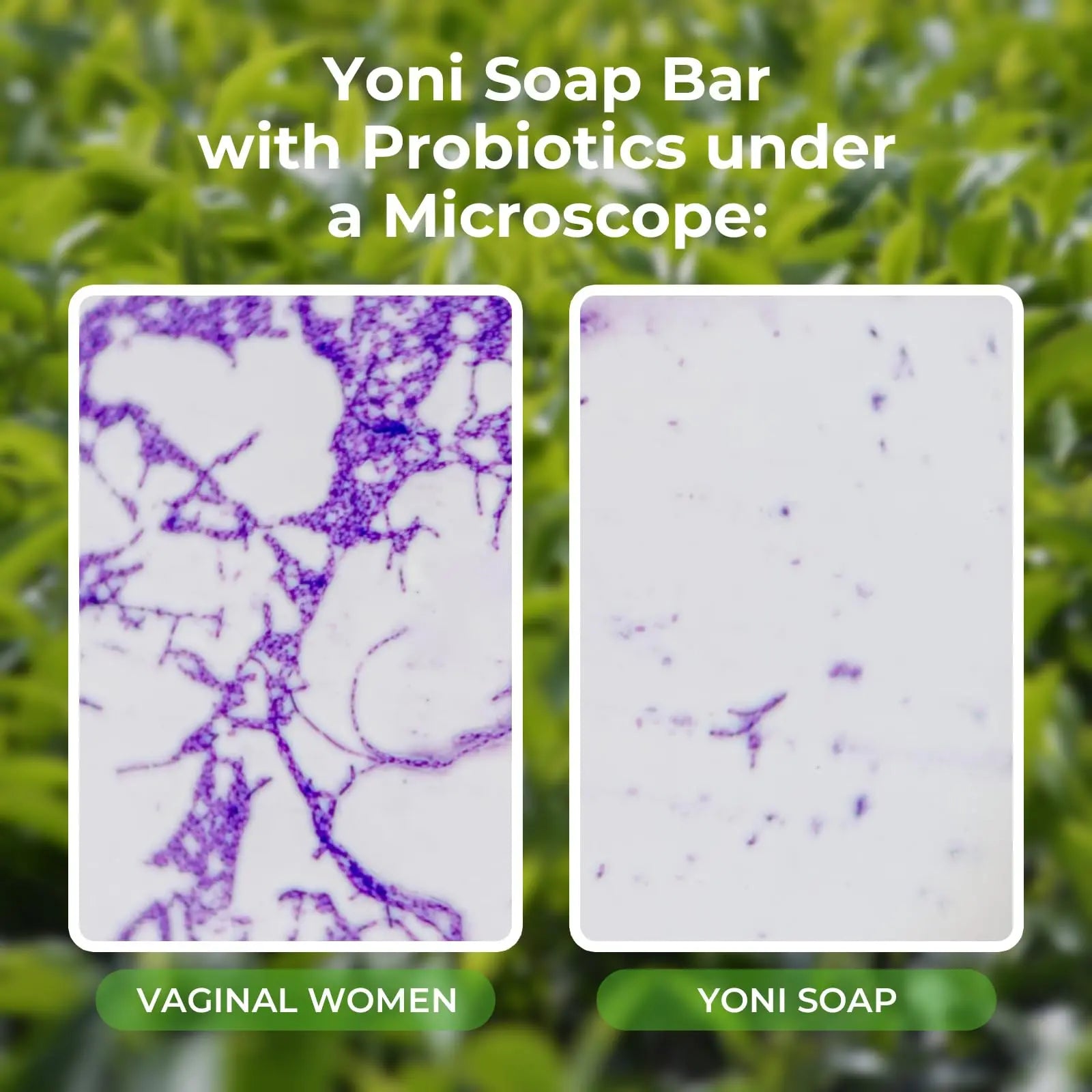 Feminine Wash & Yoni Oil & Yoni Soap Tea Tree Set for Women, Yoni Wash for Vaginal Ph Balance Remove BASSI Au supplements