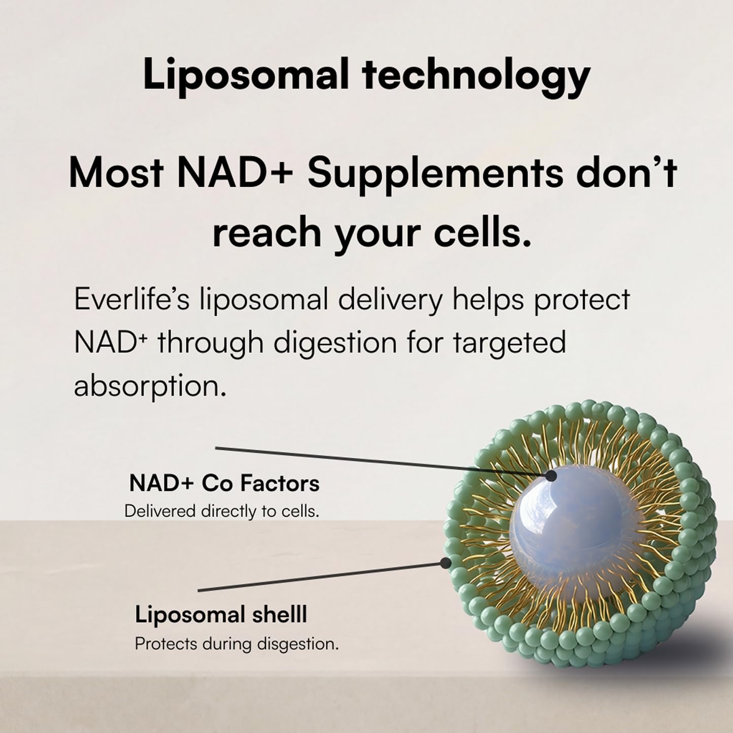 Everlife Liposomal NAD+ Liquid Supplement – 150mg Shot with Liposomal Trans-Resveratrol, TMG & Glycine – Boosts Energy, Cellular Repair, Healthy Aging & Longevity – NMNH Alternative – 30 Servings Everlife Au supplements