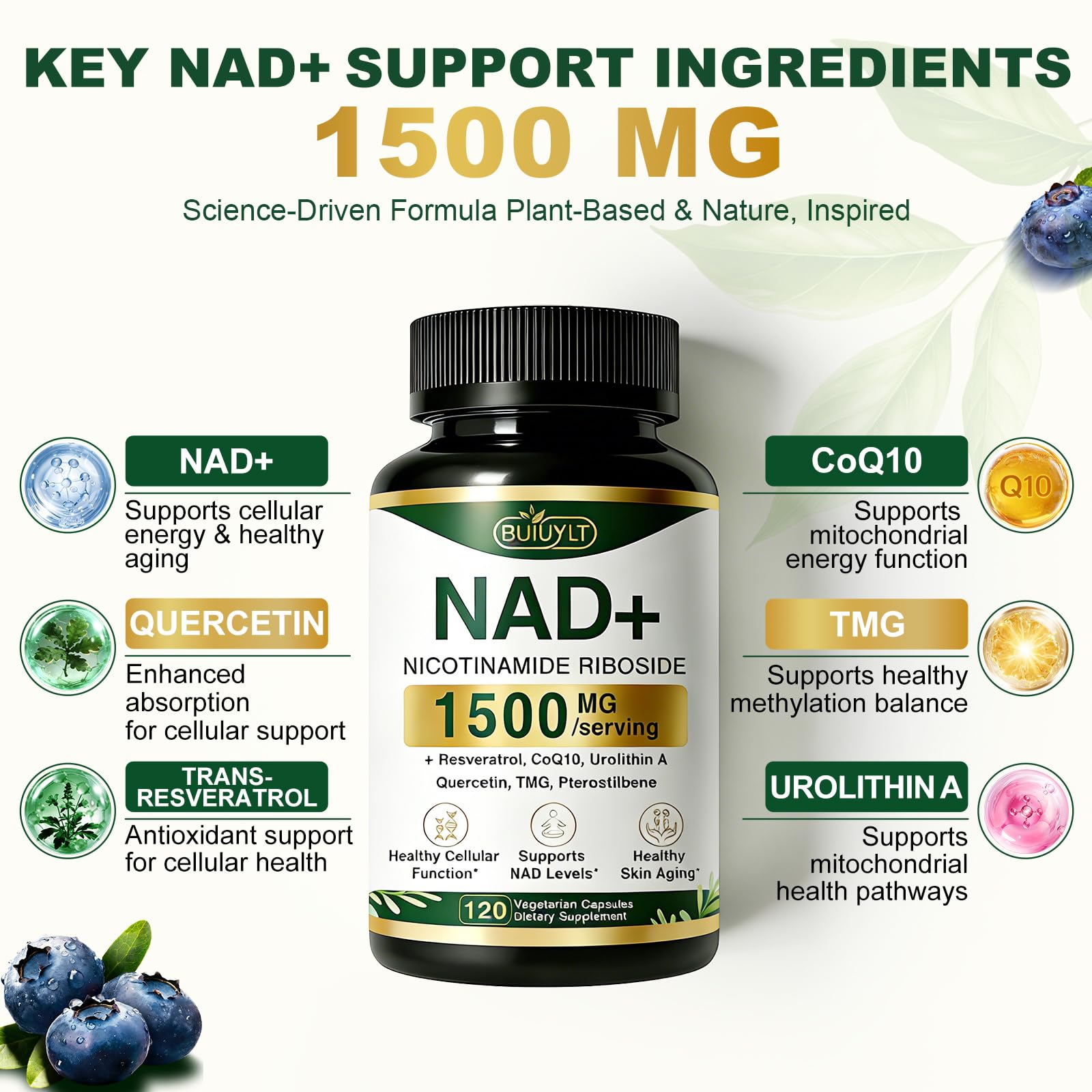BUIUYLT NAD+ Supplement 1500mg, NR NMN Replacement with Resveratrol, Urolithin A, CoQ10 & Quercetin for Cellular Energy, Healthy Aging & Stamina for Women & Men - 120 Capsules BUIUYLT Au supplements