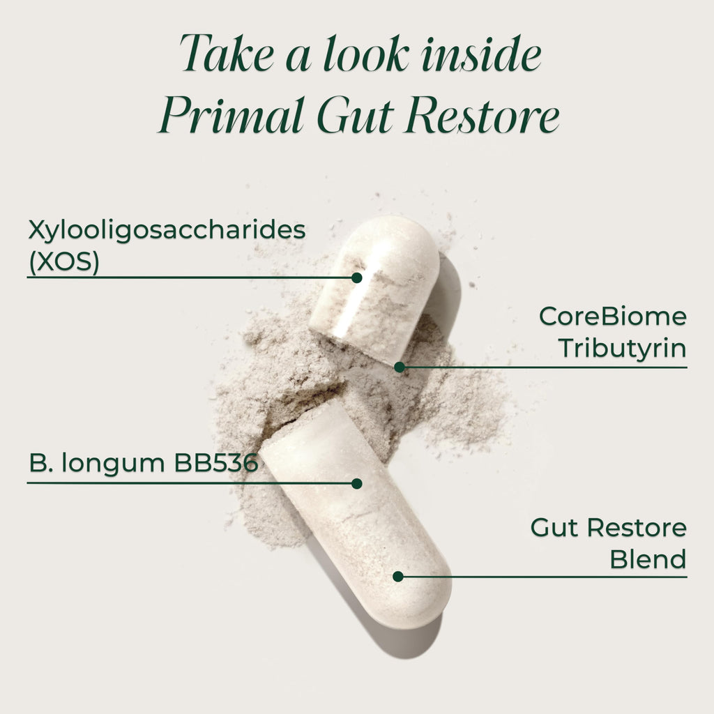 Primal Harvest Restore for Gut Health, Primal Gut Restore w/POSTbiotics, PREbiotics and PRObiotics for Women and Men, 60 CT - Digestion, Colon Cleanse,
