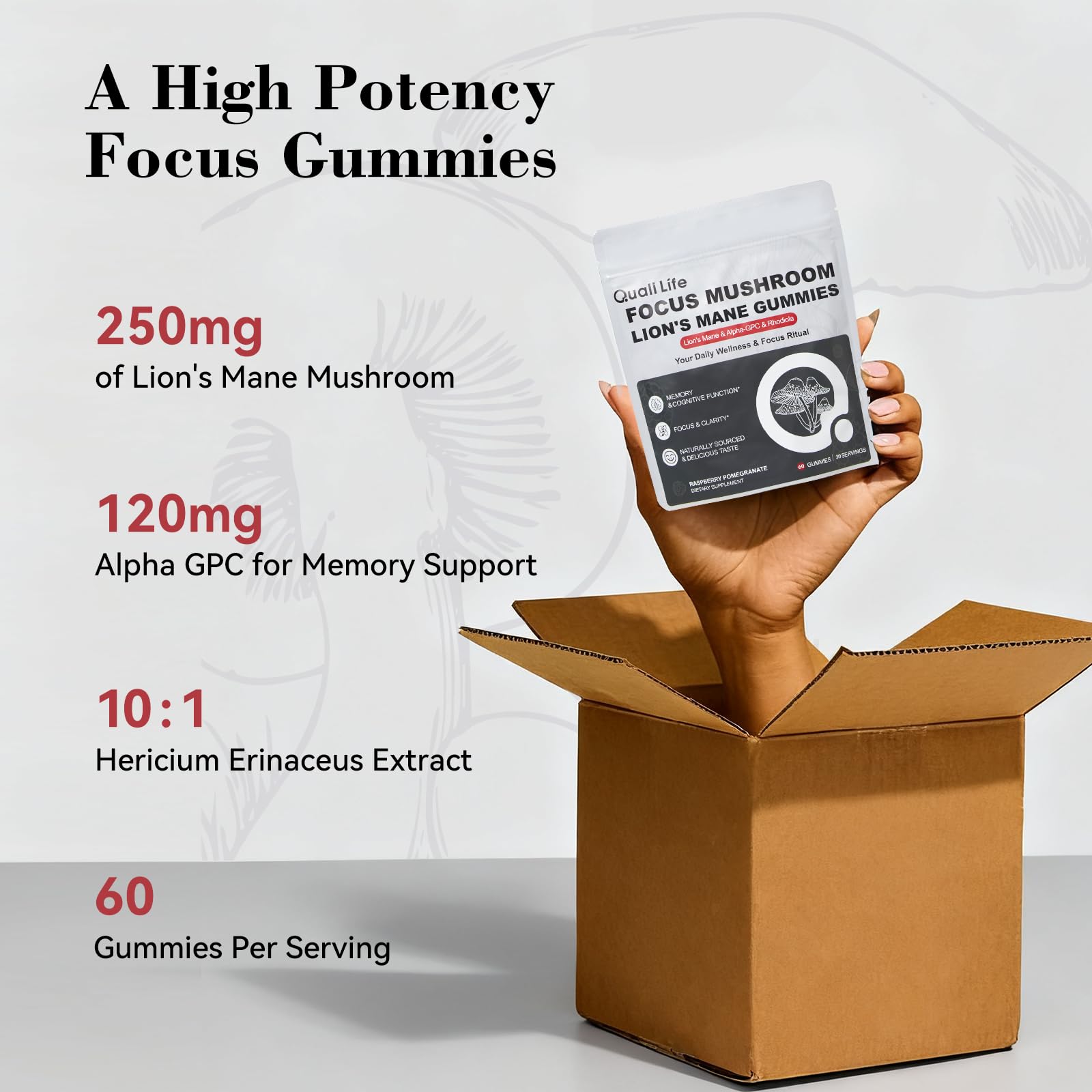 Mushroom Gummies with Lion’s Mane - Alpha Brain Gummy for Focus & Memory - Nootropic Focus Gummies with Rhodiola & Alpha-GPC – Vegan Brain Supplement, Raspberry Pomegranate Flavor, 60 Count (1) QualiLife Au supplements