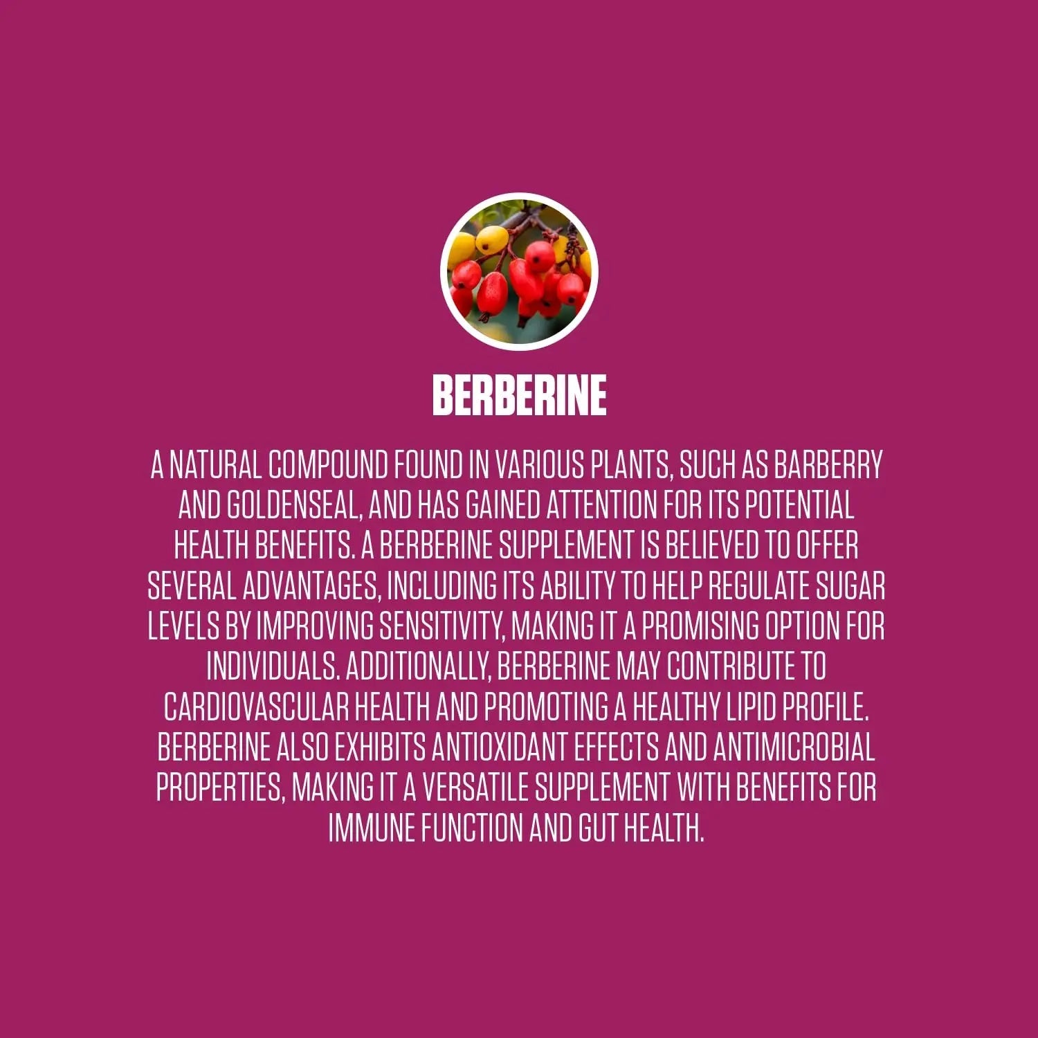 Berberine Extra Strength | #1 Rated Berberine Supplement for Heart Health, Improve Energy EPN Supplements Au supplements