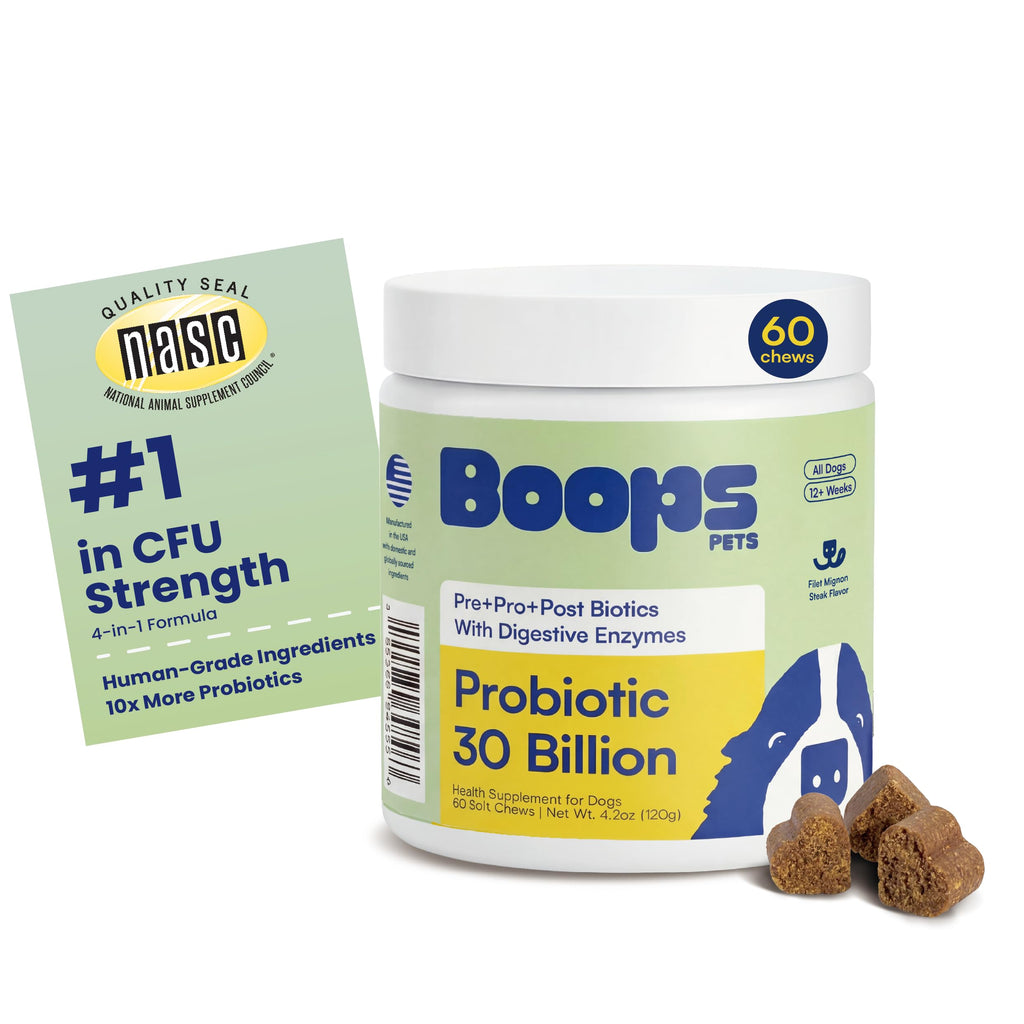 Boops Pets Probiotics for Dogs – 30 Billion CFU with Pre, Postbiotics & Digestive Enzymes – Supports Gut Health, Immunity, Loose Stools & Allergies – Filet Mignon Flavor – Vet Formulated – 60 Chews Boops Pets Au supplements