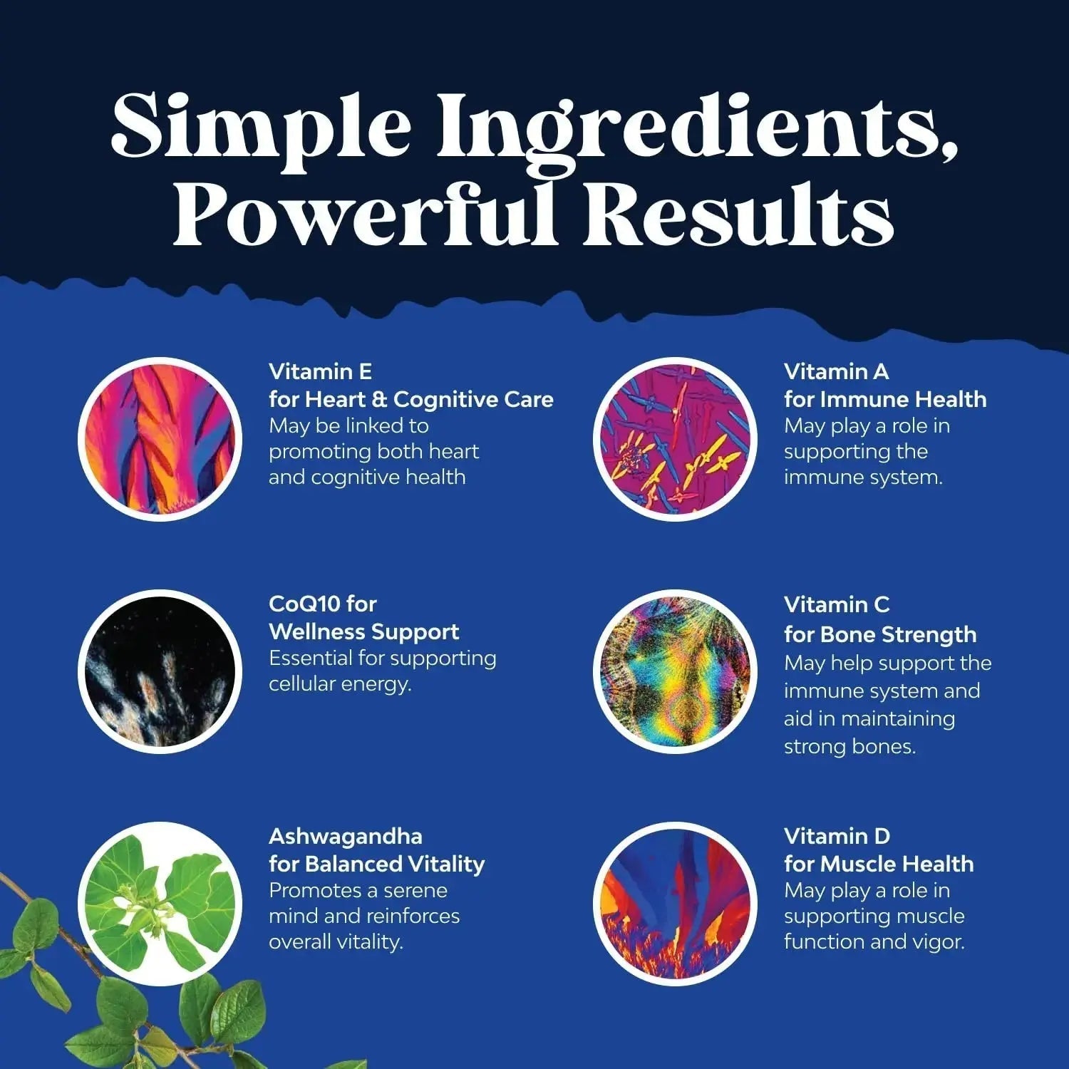 Bundle of Daily Mens Multivitamins Gummies with Zinc and Biotin for Energy and Immunity and Daily Multivitamin for Women Gummies - Gummy Vitamins for Health and Wellness Natures Craft Au supplements