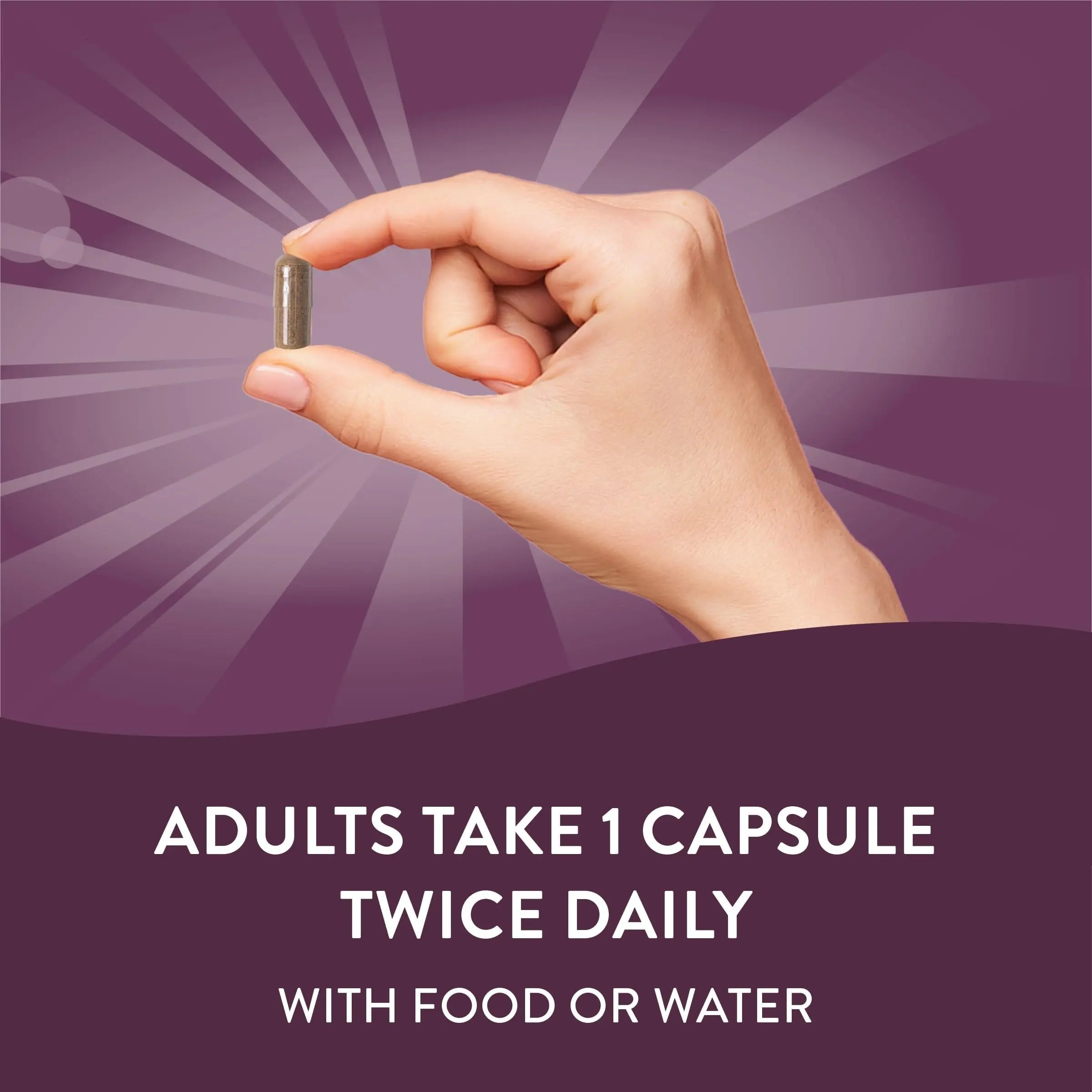 Nature's Way Standardized Horse Chestnut, Premium Extract for Healthy Veins and Blood Nature's Way Au supplements