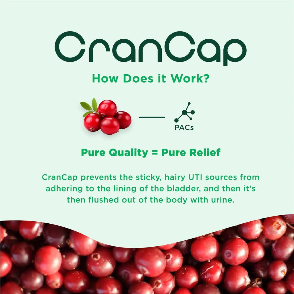 CranCap - Cranberry Pills - Urinary Tract Health Cranberry Supplement - 36mg of Potent PACs - Non GMO, Vegan, Gluten Free - by Heale - 30 Capsules CranCap Au supplements