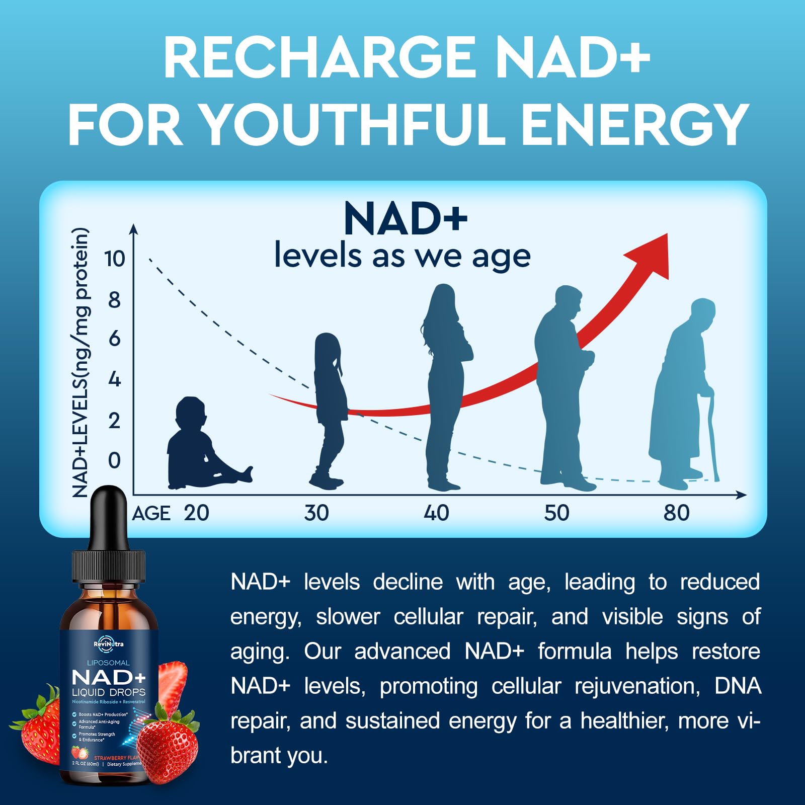 Liposomal NAD+ Liquid Supplement, Nad Resveratrol Supplement for Women & Men, Nicotinamide Riboside with PQQ, CoQ10, Quercetin for Anti-Aging, Brain, Cellular Energy Health, Strawberry Flavor, 2 Fl Oz ReviNutra Au supplements