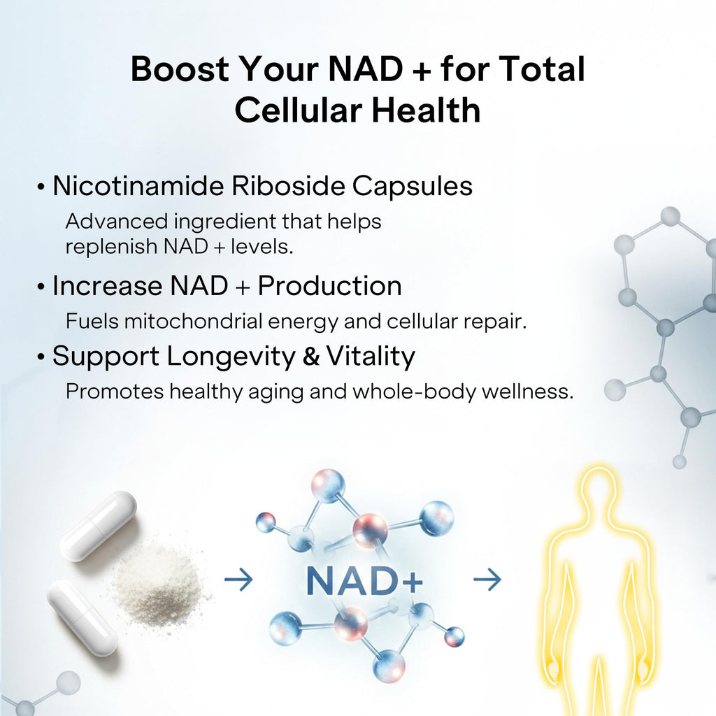 Liposomal NAD+ Supplement with Resveratrol - Nicotinamide Riboside 1000 Mg - NAD Supplements for Women & Men - NMN Supplement Alternative - Advanced NAD Resveratrol for Cellular Energy - 120 Capsules Pharmlitalia Au supplements