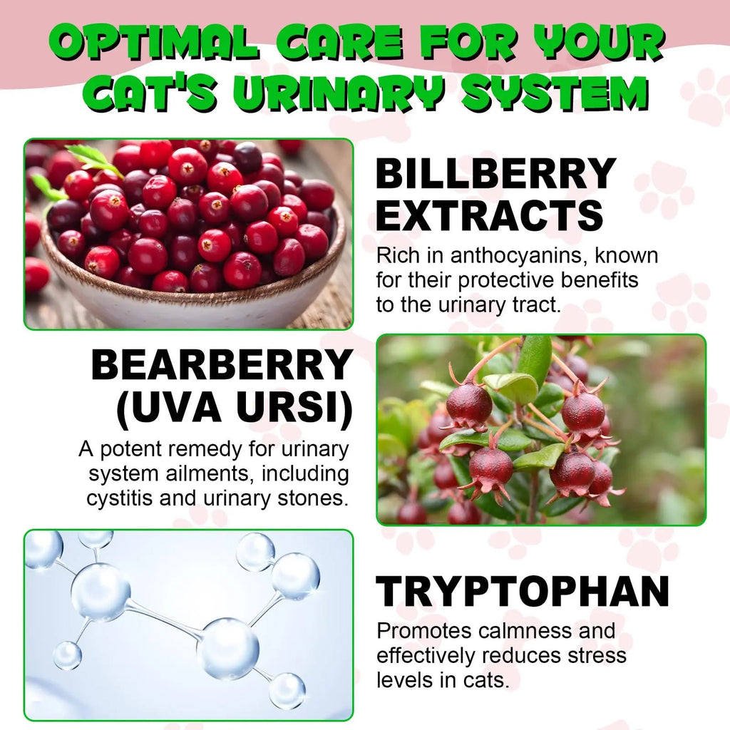 Cat Urinary Tract Infection Treatment, Cat UTI Treatment Drops Supports Bladder, Kidney Stone, Cranberry Kidney Bladder Support Supplement, Chicken Flavor, 60ml BTQAFVZT Au supplements