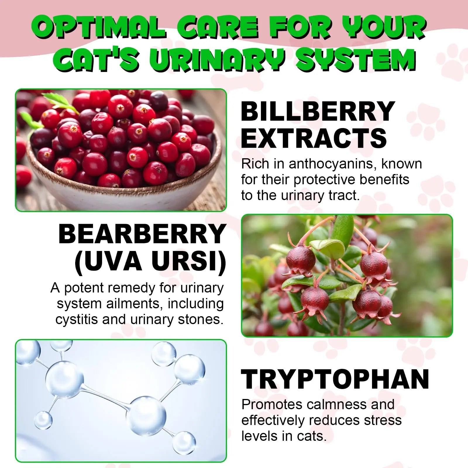 Cat Urinary Tract Infection Treatment, Cat UTI Treatment Drops Supports Bladder, Kidney Stone, Cranberry Kidney Bladder Support Supplement, Chicken Flavor, 60ml BTQAFVZT Au supplements