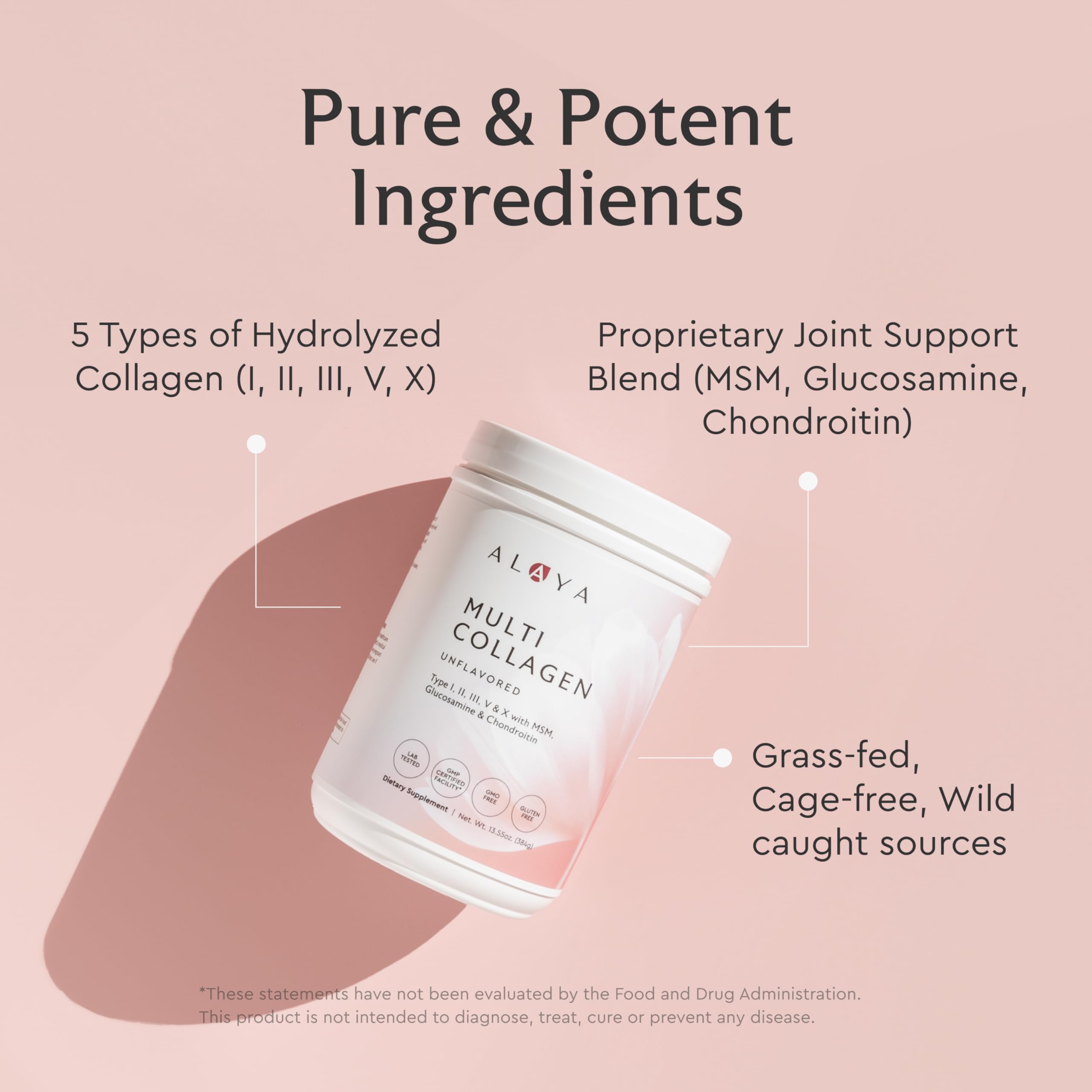 Alaya Multi Collagen Powder - Type I, II, III, V, X Hydrolyzed Collagen Peptides Protein Powder Supplement with MSM