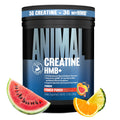 Animal Creatine HMB Powder – 3g myHMB + 5g Creatine with Electrolytes for Recovery & Daily Energy – Power Punch Flavor, 30 Servings