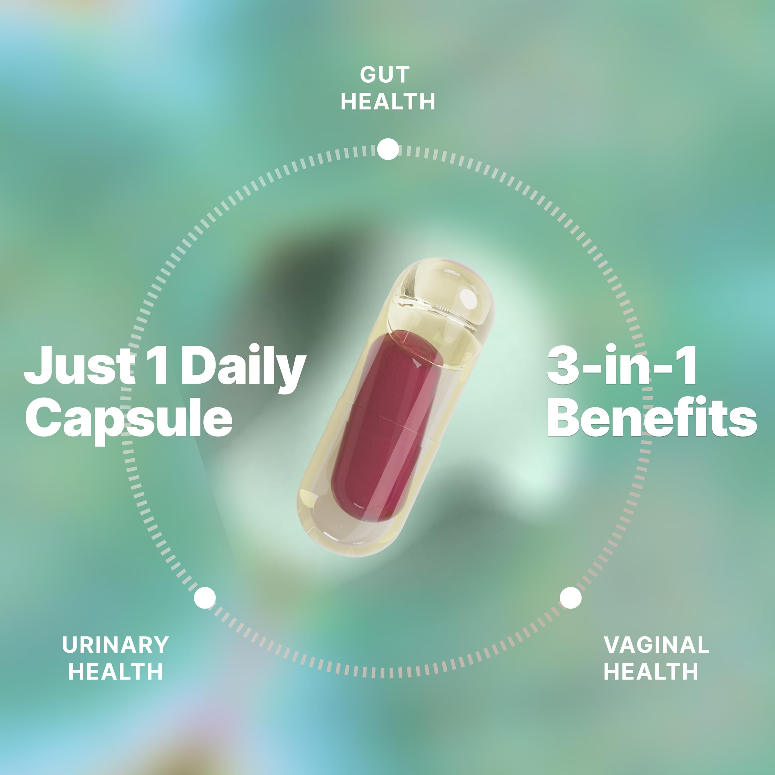 Evvy Women's 3-in-1 Complete Probiotic I Daily Probiotic Supplement to Reduce Bloating I Supports Gut, Urinary & Vaginal Health | Includes Vaginal Probiotics for Feminine Care | 30 Day Supply Evvy Au supplements