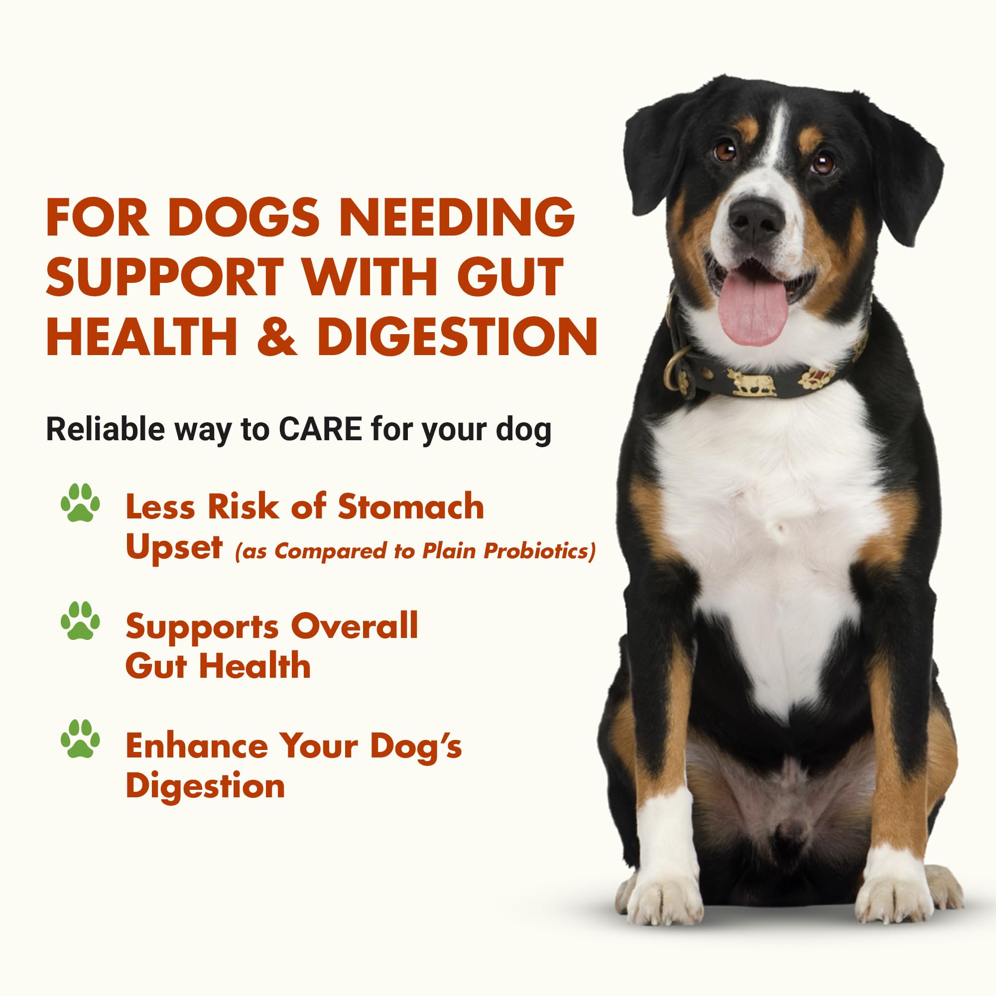 Pre & PostBiotic Support for Dogs – Digestive Upset, Stool Quality & Sensitive Stomach Support – Easy Liquid Formula for Picky Eaters LIQUID-VET Au supplements