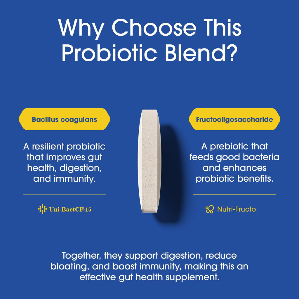 Nutrition Essentials Probiotics for Women and Men - with Lactase Enzyme and Prebiotic Fiber for Digestive Health - 80 Percent + More Potent Supplement
