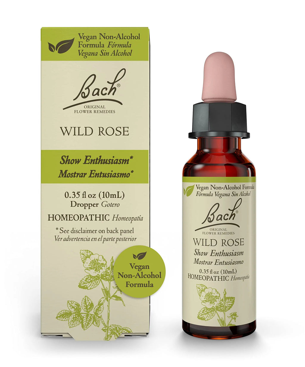 Bach Original Flower Remedies, Wild Rose for Enthusiasm (Non-Alcohol Formula), Natural Homeopathic Bach Au supplements