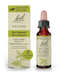 Bach Original Flower Remedies, Wild Rose for Enthusiasm (Non-Alcohol Formula), Natural Homeopathic Bach Au supplements