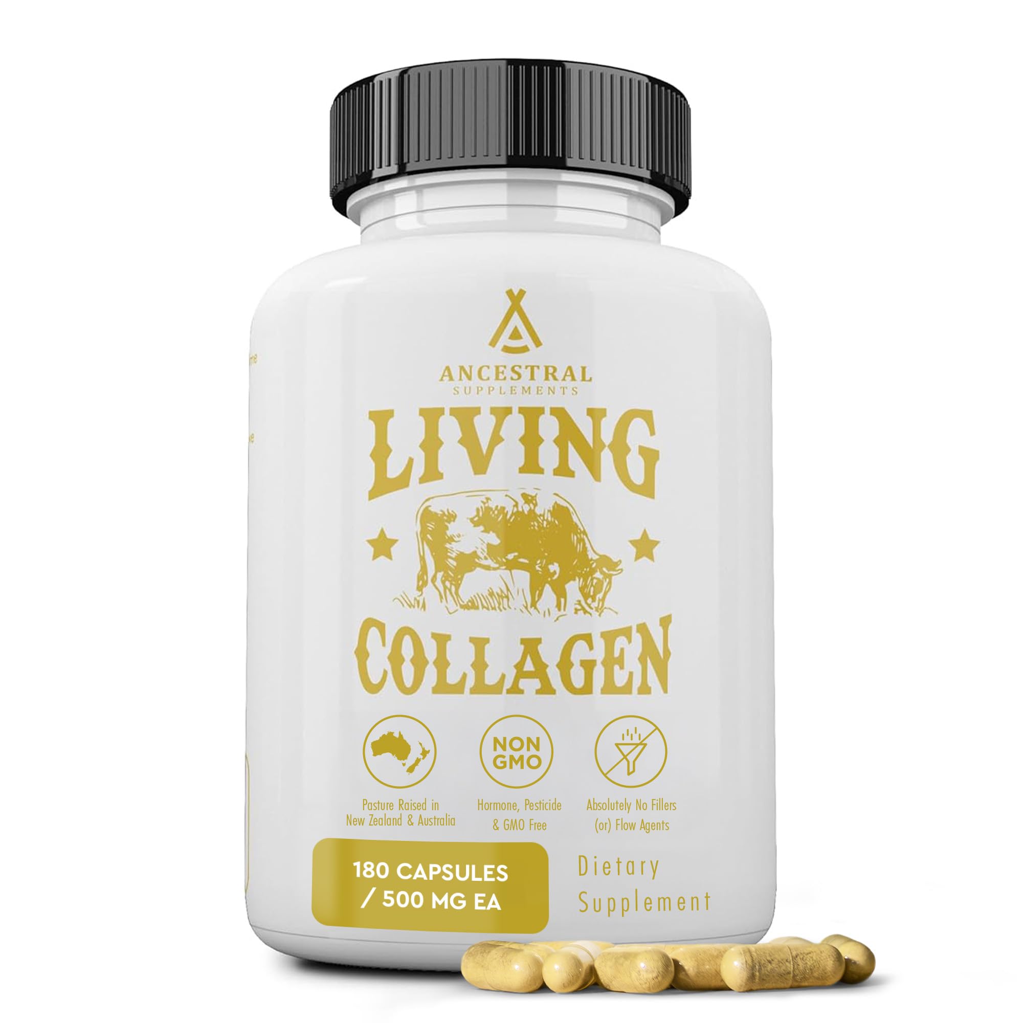 Ancestral Supplements Grass Fed Beef Living Collagen Nutritional Powder Supplement, 3000mg, Promotes Healthier, Younger Looking Skin, Hair
