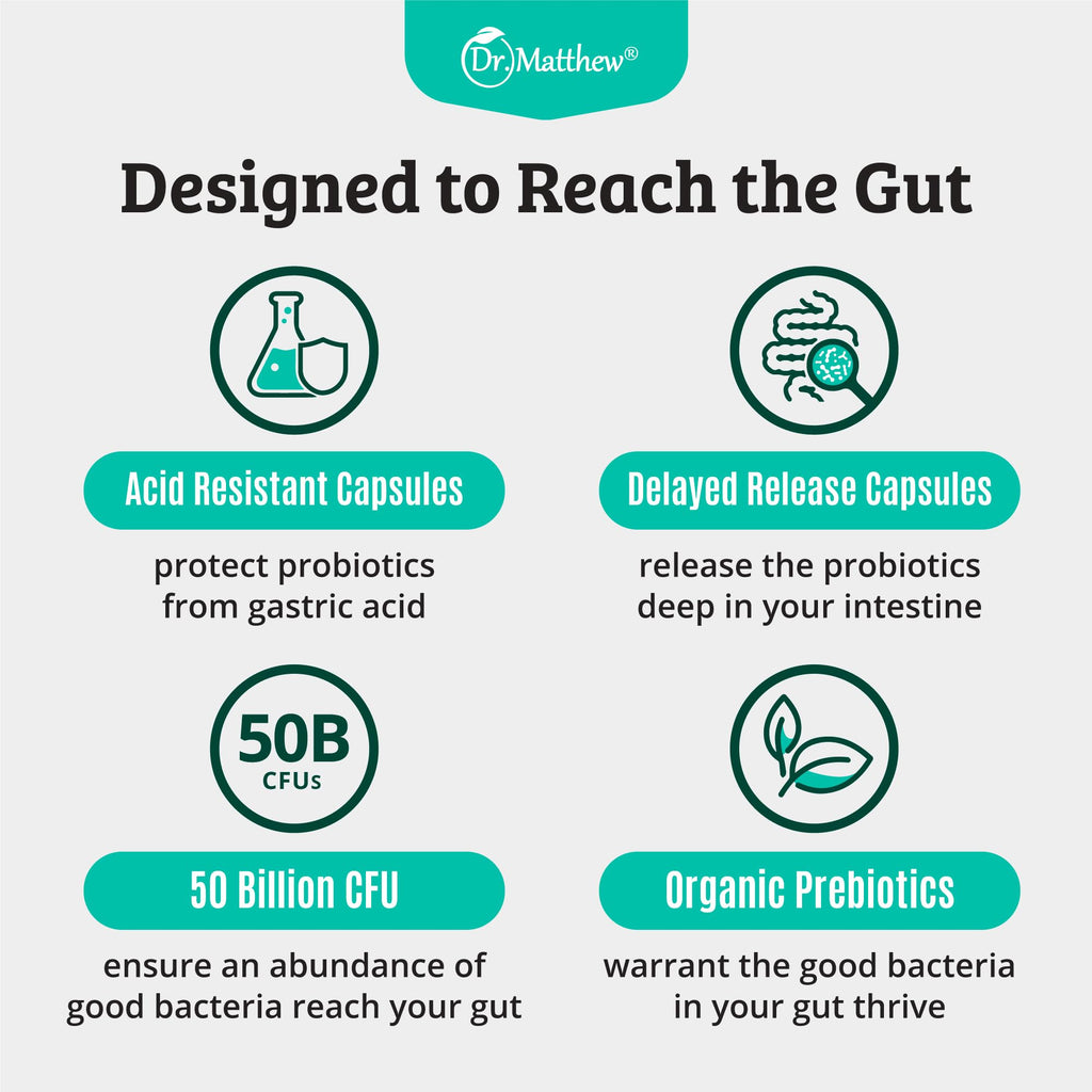 Prebiotics and Probiotics: Lactobacillus Gasseri, Lactobacillus Rhamnosus, Plantarum, Casei, Bifidobacterium longum, lactis, infantis. Probiotic Prebiotic,