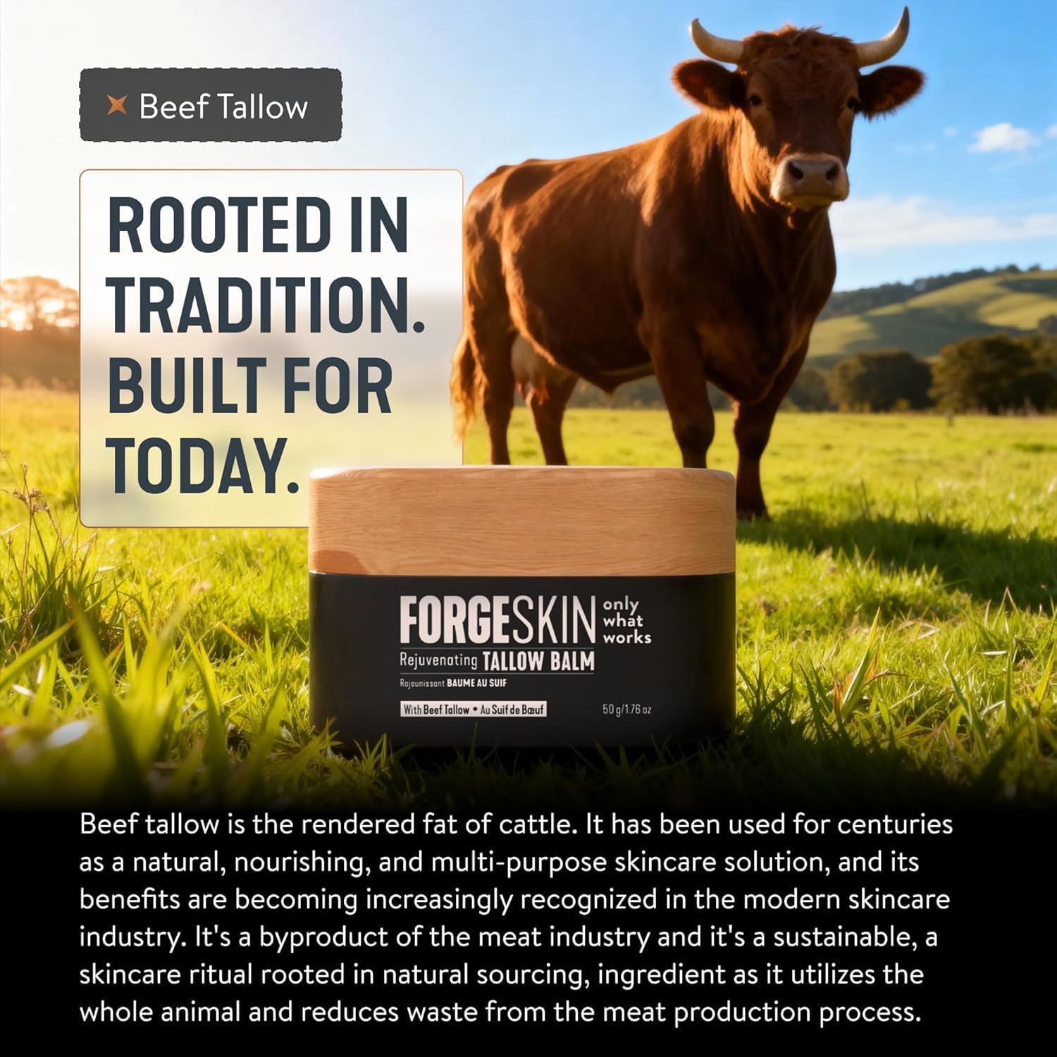 Forge Skin® Wrinkle Defense Beef Tallow Balm for Men [TALLOW-BASED] Moisturizer for Face Hydration - Hydrating Anti Aging Skin Cream