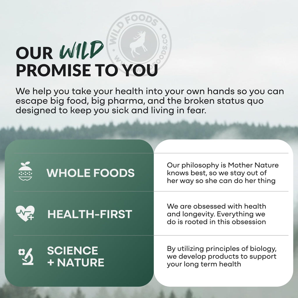 Wild Prebiotics and Probiotics with Digestive Enzymes | 20 Billion CFU - 10 Strains for Women & Men | Support Gut Health & Digestion Supplements | Non-GMO Prebiotic Fiber | 30 Capsules