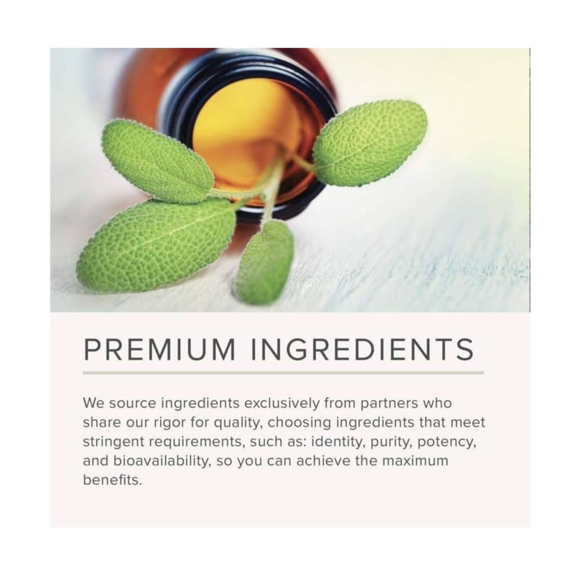 NusaPure Choline Bitartrate - Suitable for Vegetarian/Vegan, Non - GMO - 1000 mg 200 Capsules NusaPure Au supplements