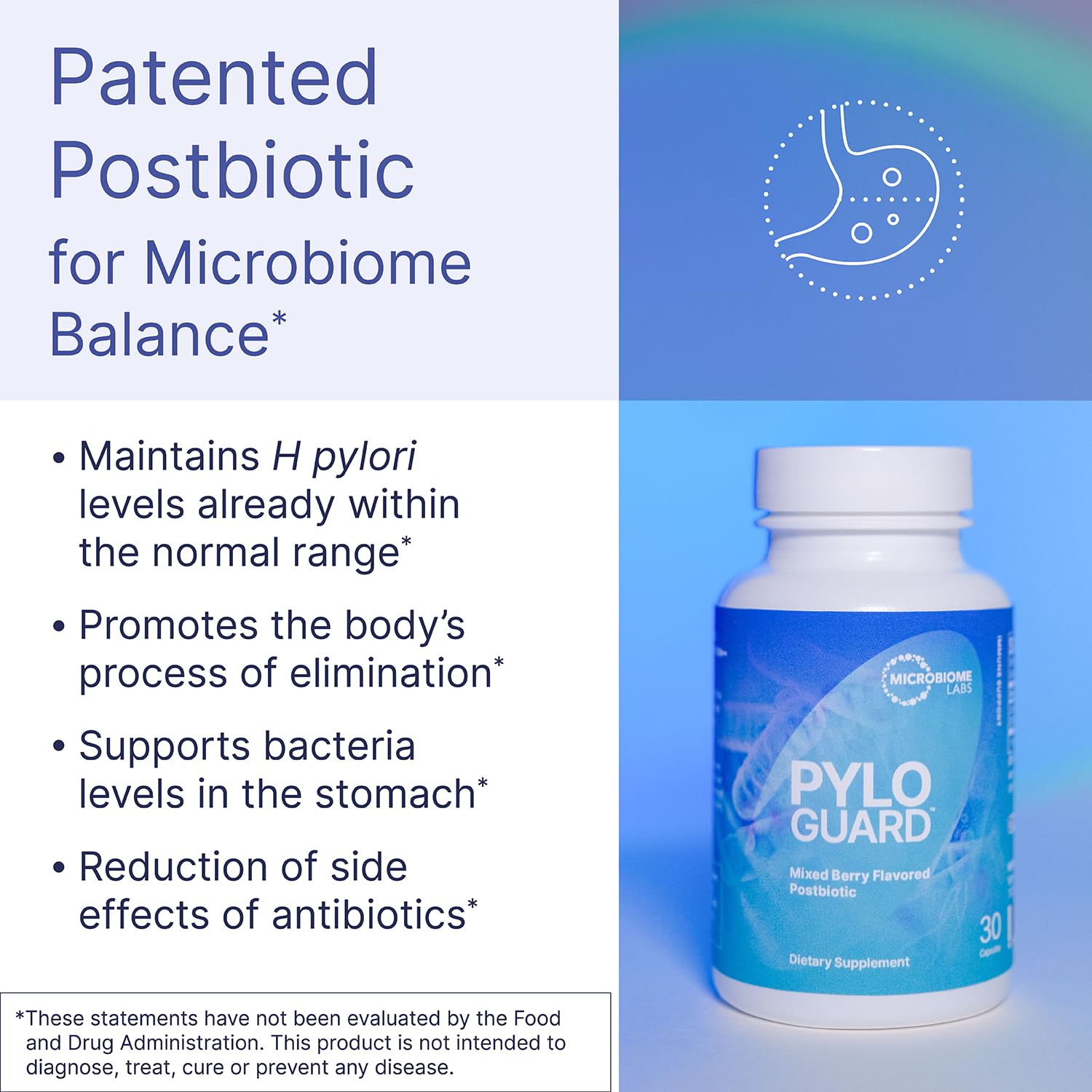 Microbiome Labs PyloGuard - Patented L reuteri DSM17648 to Improve Digestive Comfort - Gut Health & Immune Support Supplement - Postbiotic (30 Capsules) Microbiome Labs Au supplements
