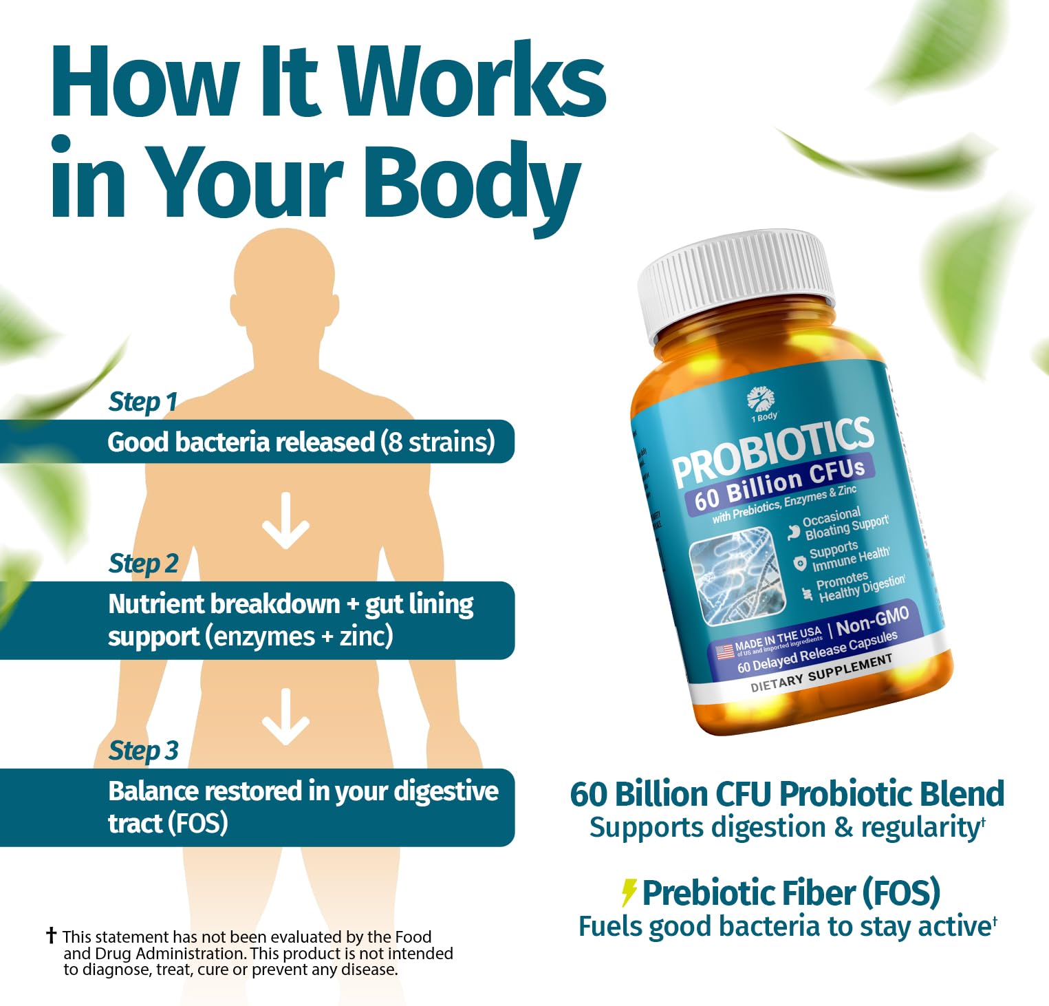 1 Body Probiotic 60 Billion for Men & Women, Gut Health Support with Prebiotics, Digestive Enzymes, Zinc & L-Glutamine, Non-GMO, 60 Vegan Capsules